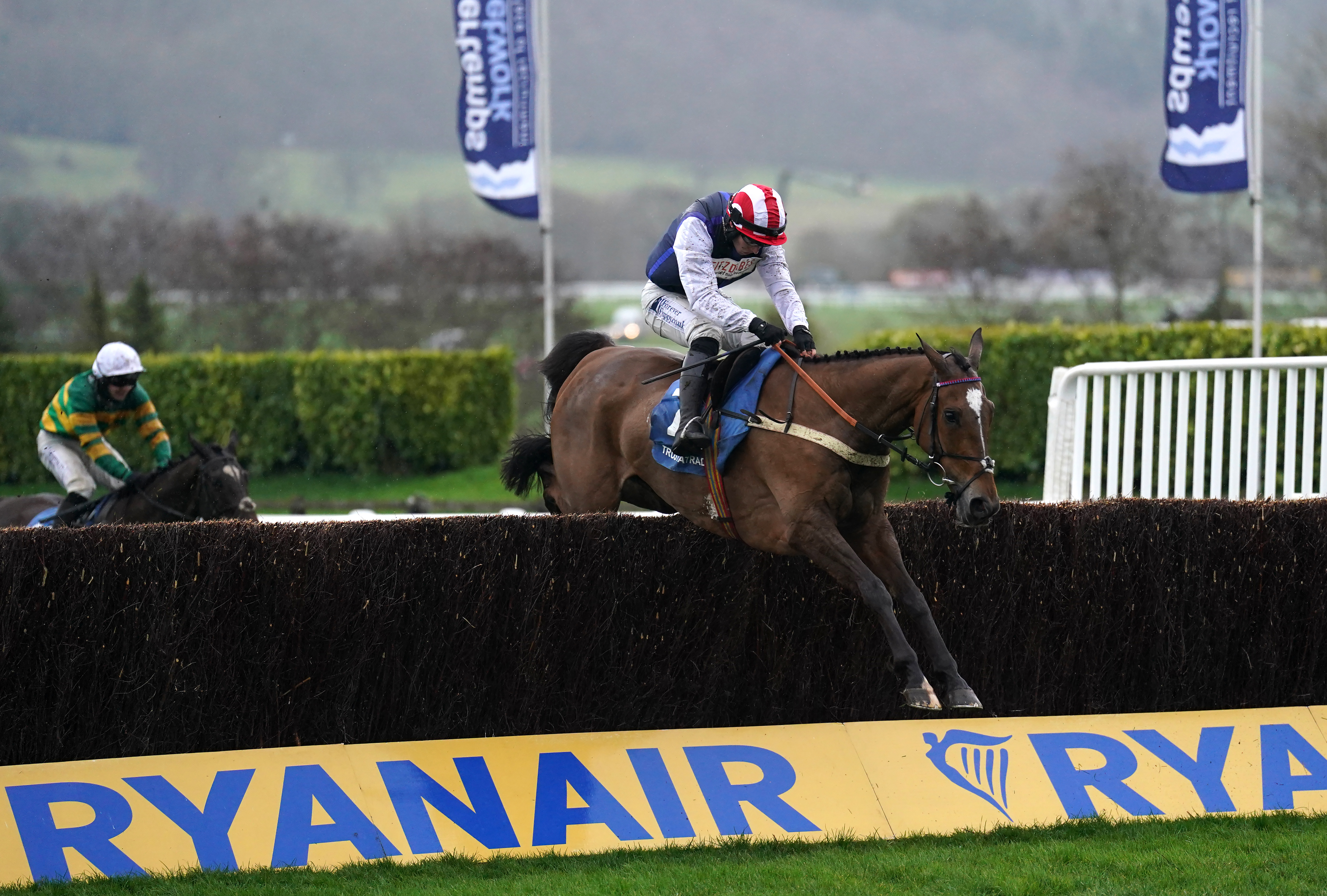 Shakem Up’arry in action at Cheltenham