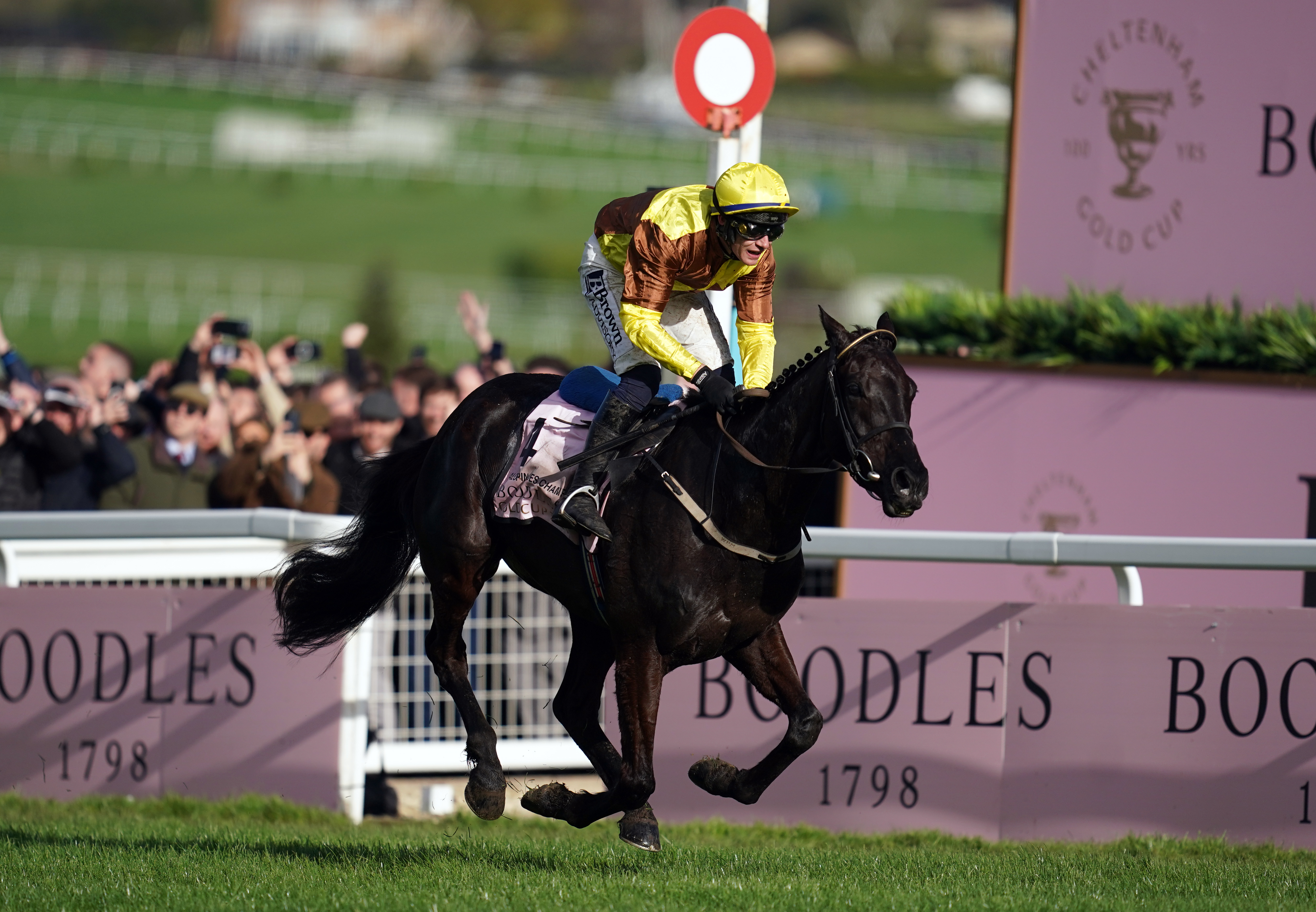 Galopin Des Champs secured successive Gold Cup wins for Willie Mullins