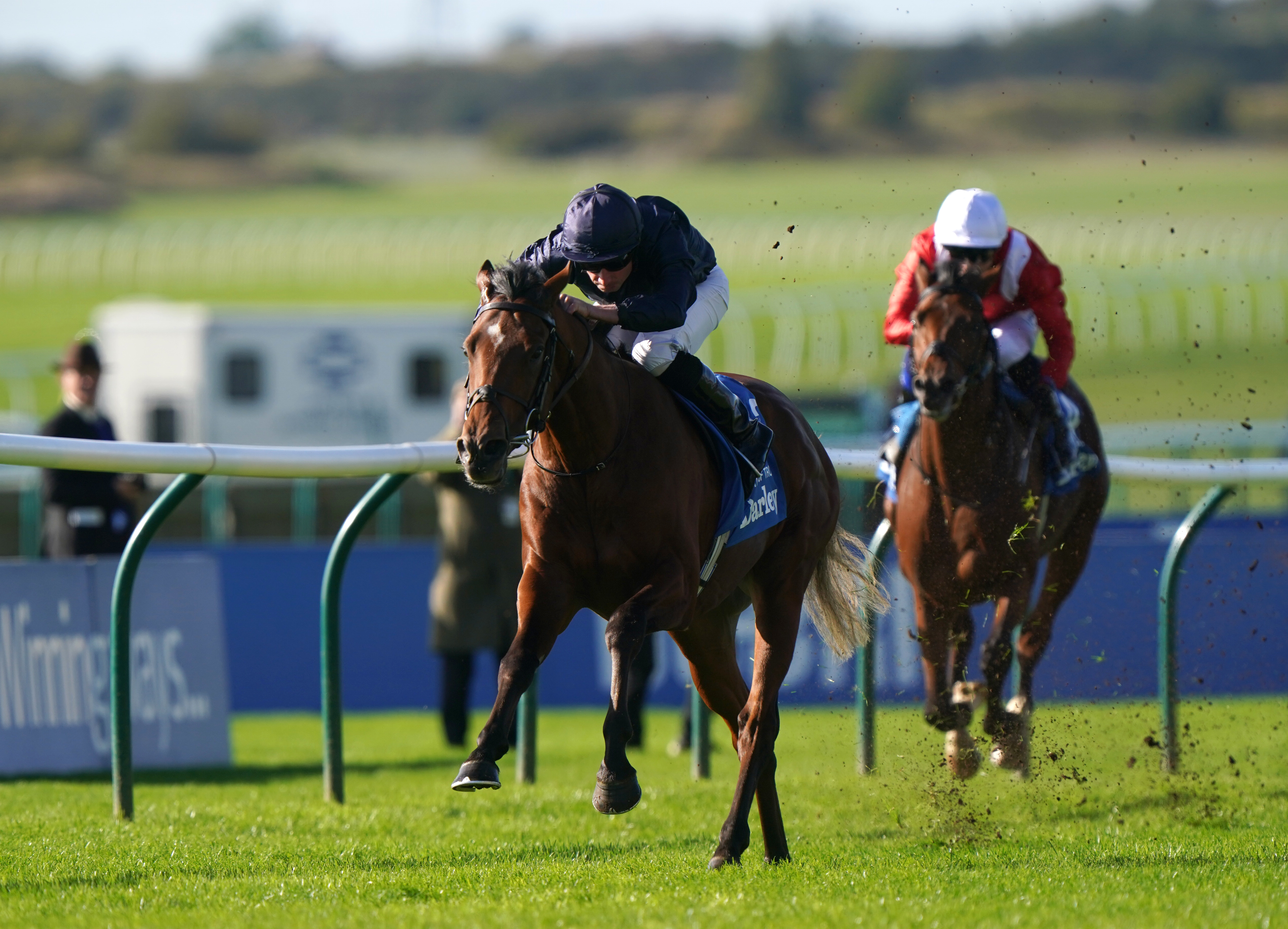 Eben Shaddad (right) chases home City Of Troy in the Dewhurst Stakes