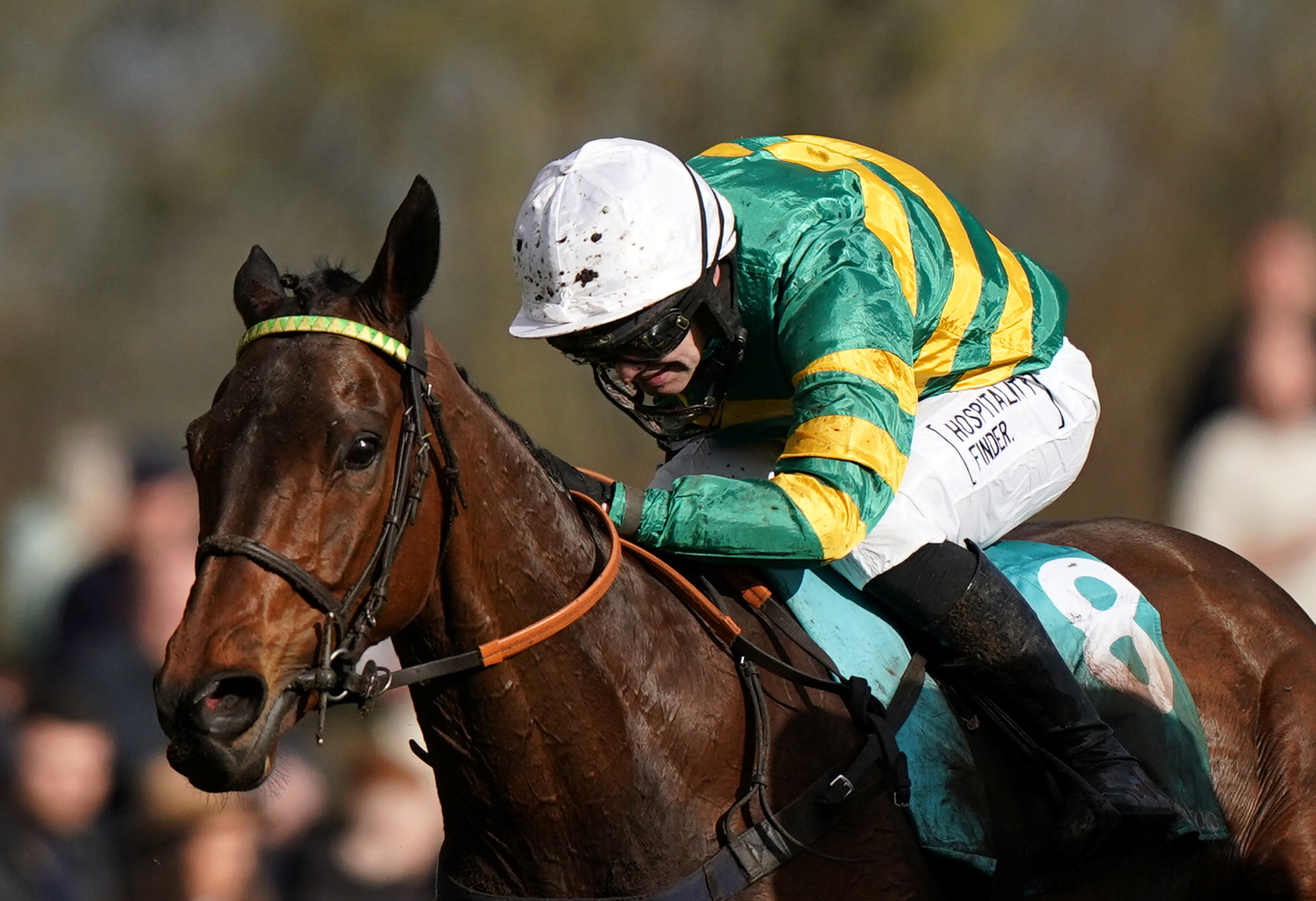 Guetapan Collonges in the Midlands Grand National