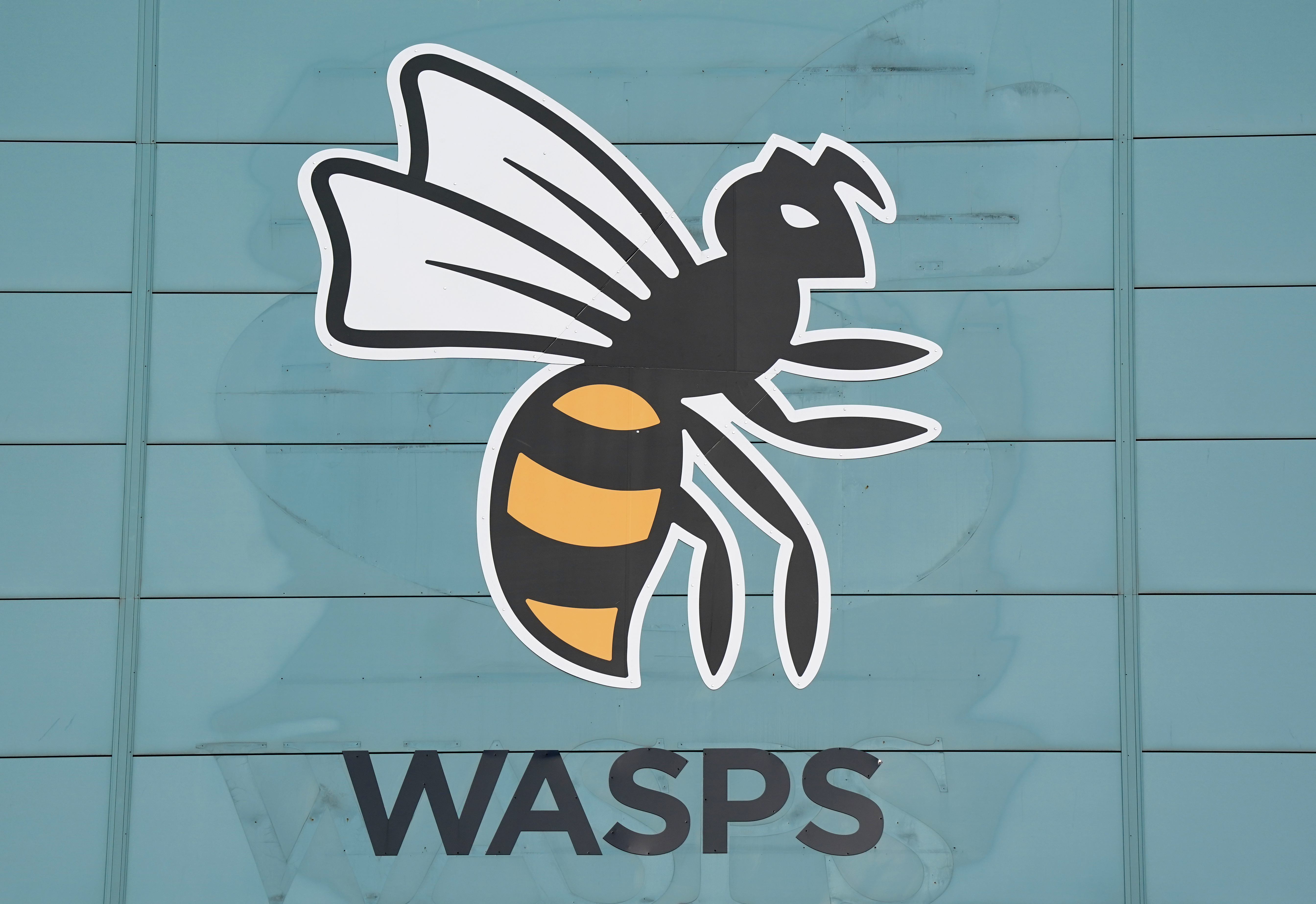 Wasps have been one of English rugby's most successful clubs