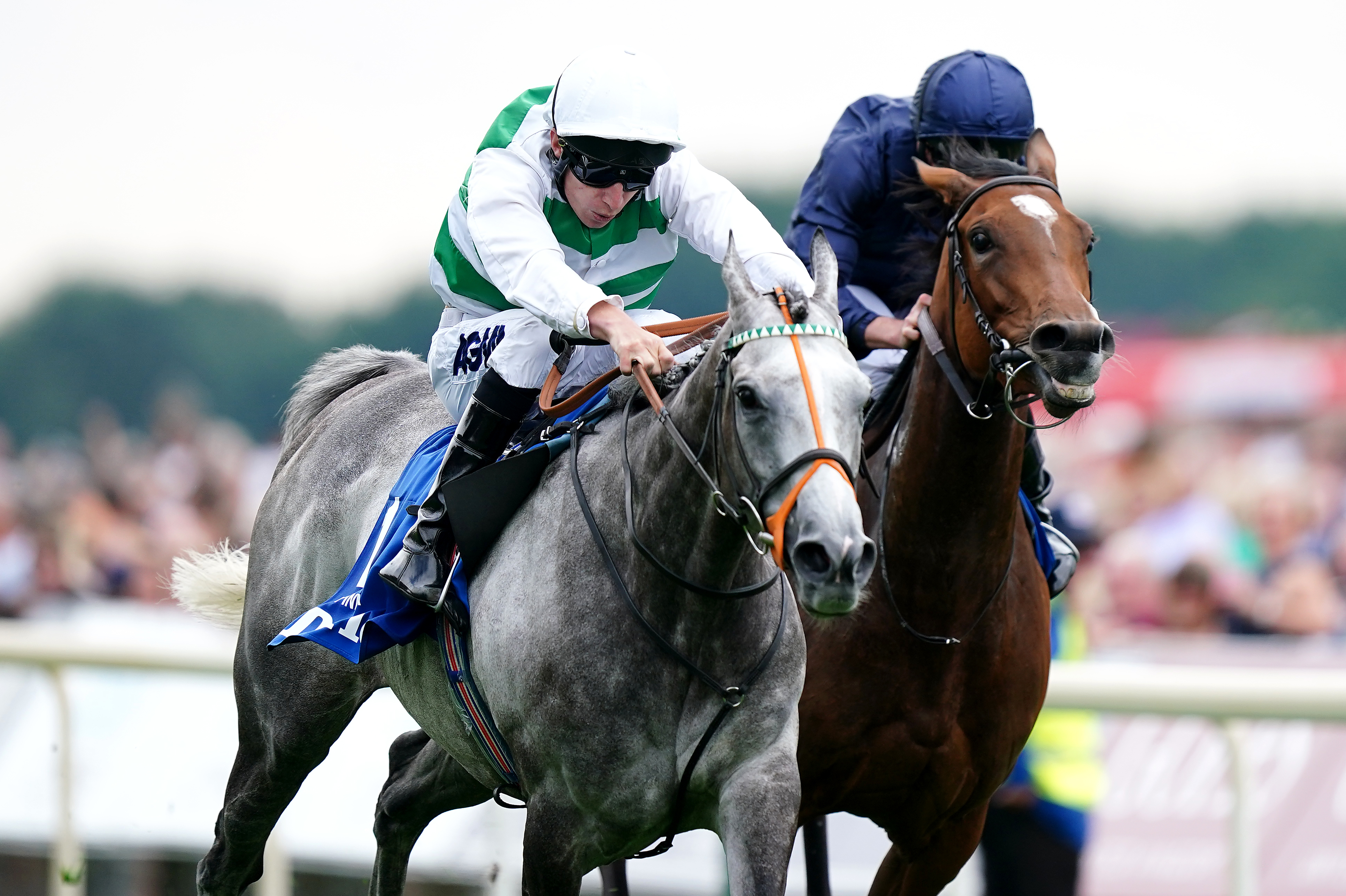 Morris aboard Alpinista during the Yorkshire Oaks