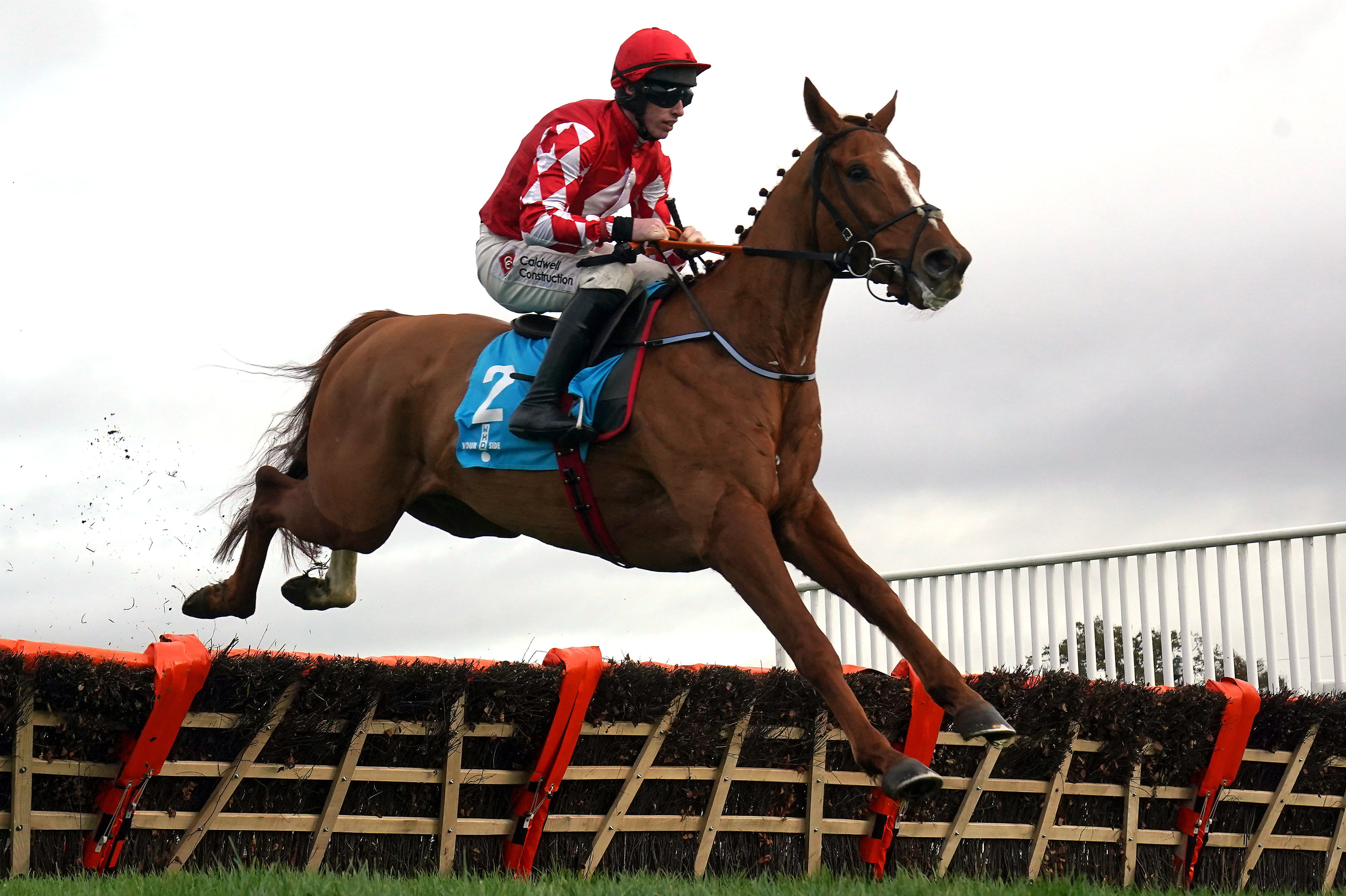 Pied Piper will remain in training with Gordon Elliott
