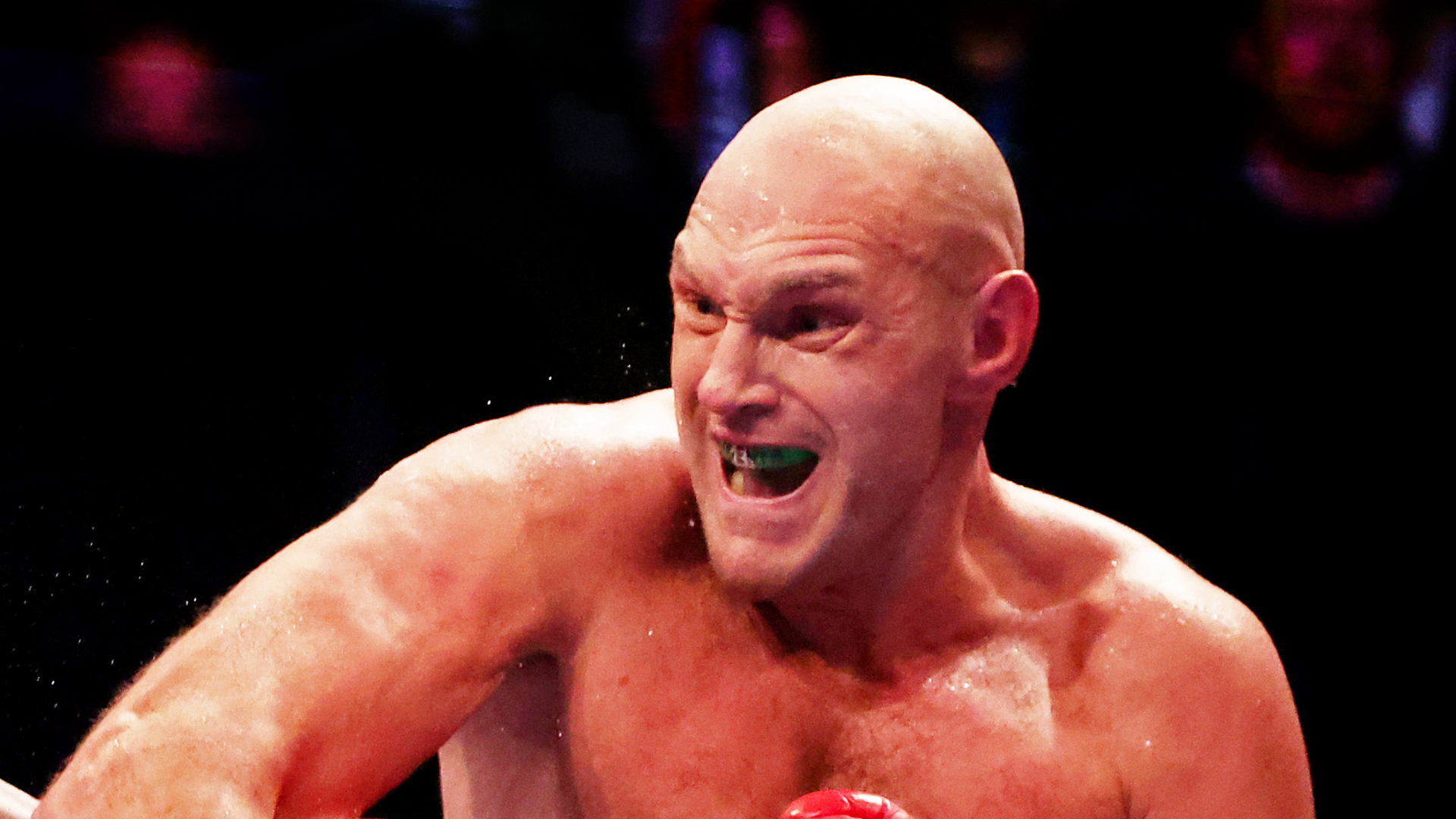 WBC champion Tyson Fury