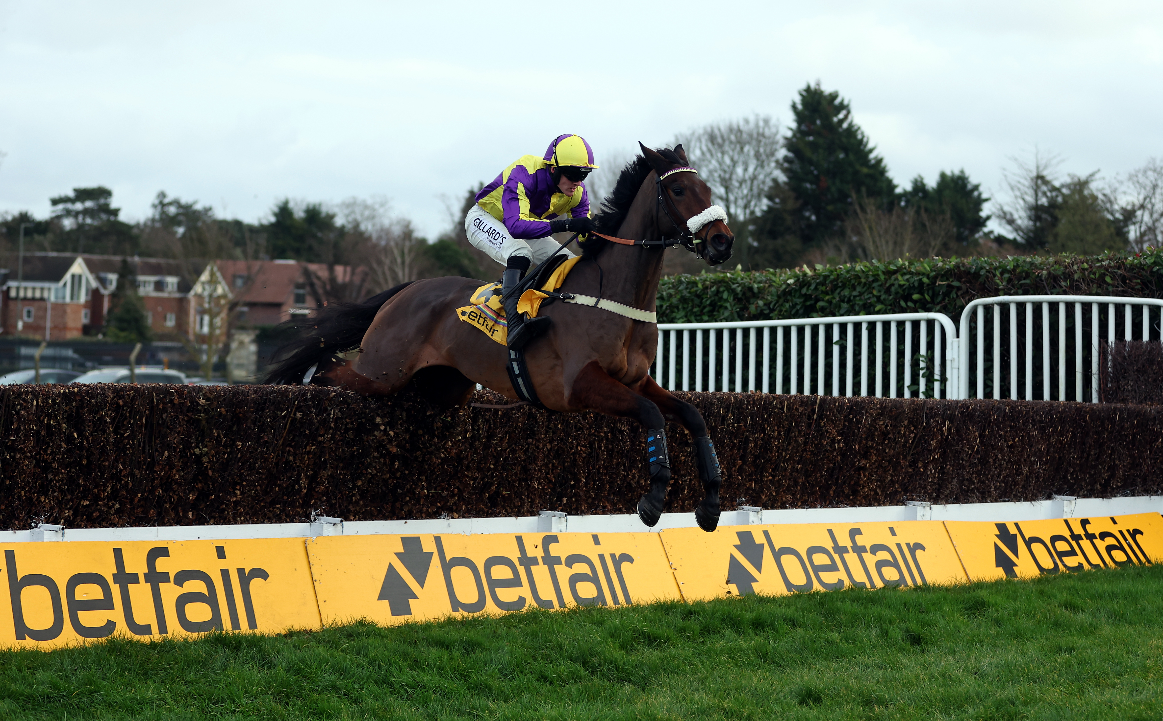 Le Patron put in a great round of jumping in the Henry VIII