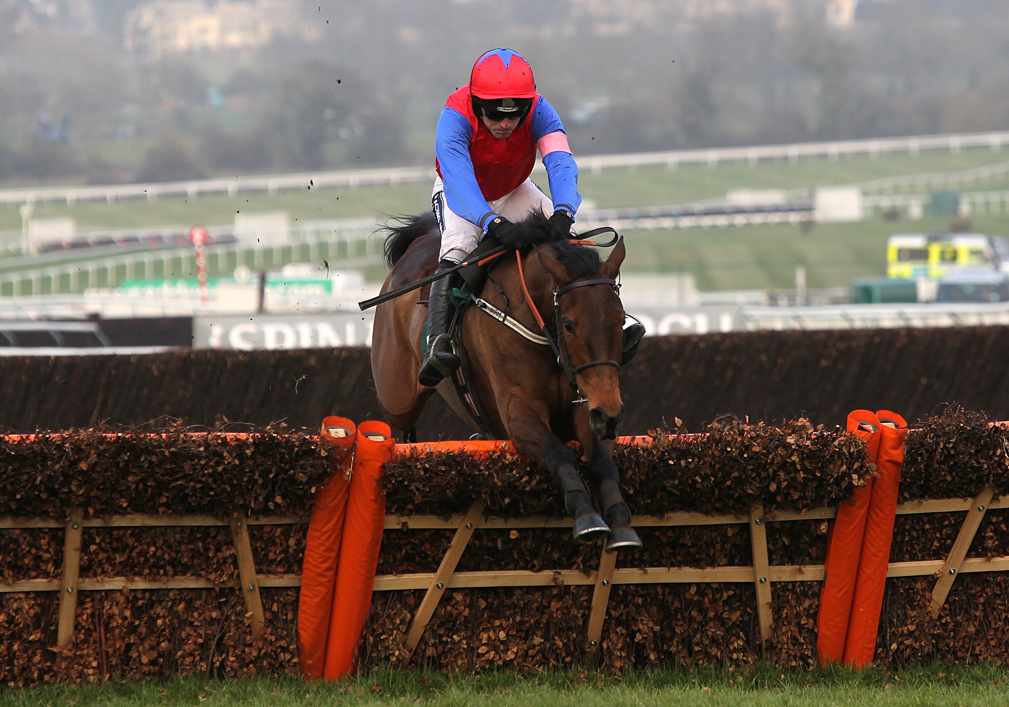Quevega incredibly won the Mares' Hurdle six years in a row