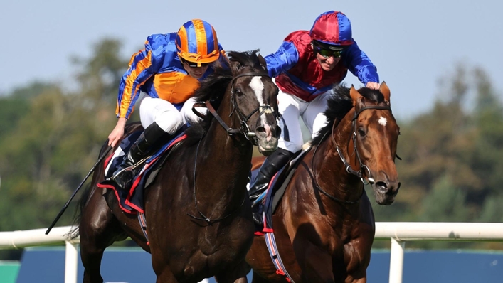 Auguste Rodin could head to the Breeders’ Cup following his Irish Champion Stakes triumph (Damien Eagers/PA)