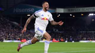 Leeds United 1-0 Fulham: Super-sub Nmecha seals dramatic late victory