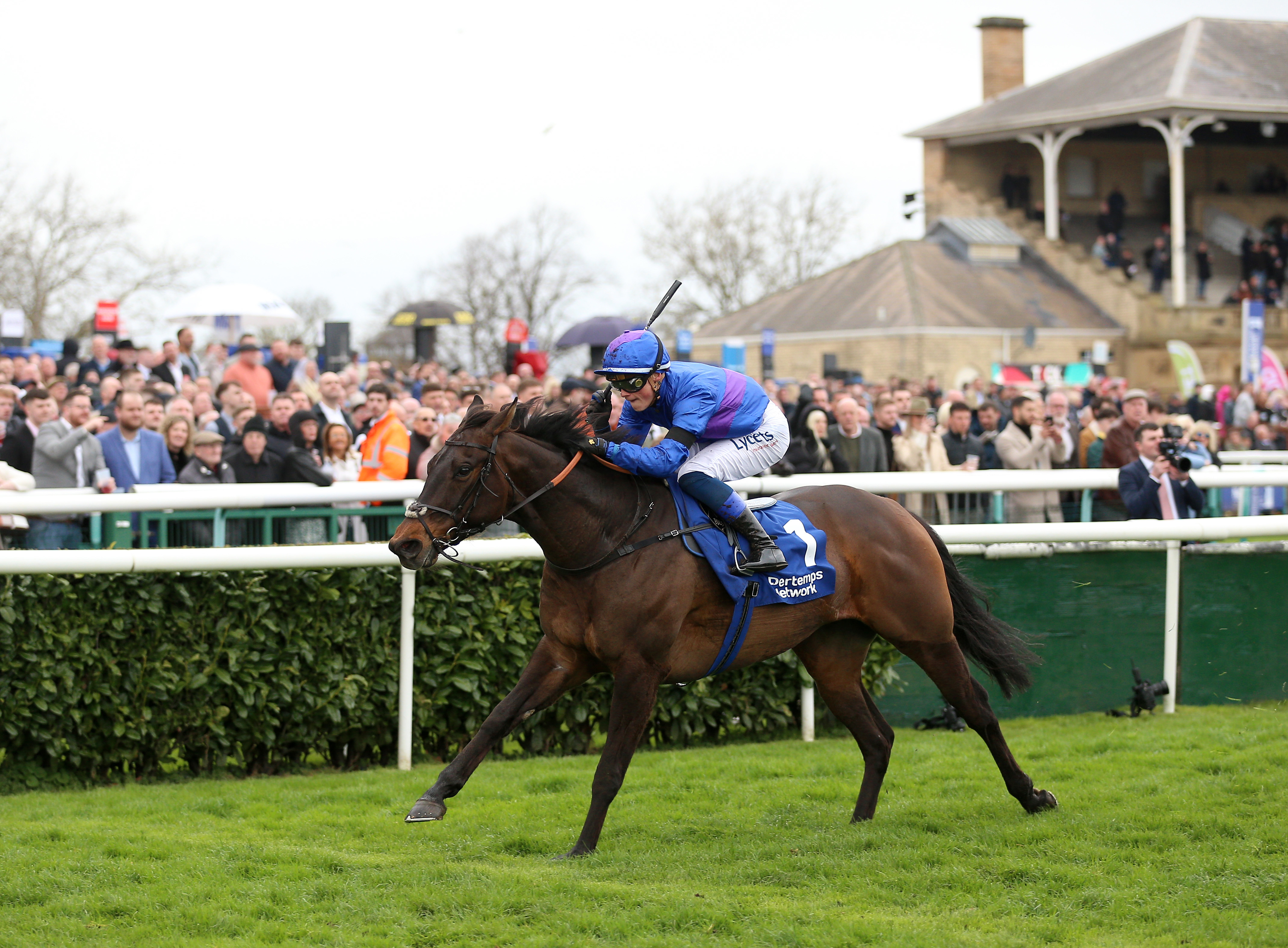 Defending champion Migration will head to Town Moor for the Lincoln