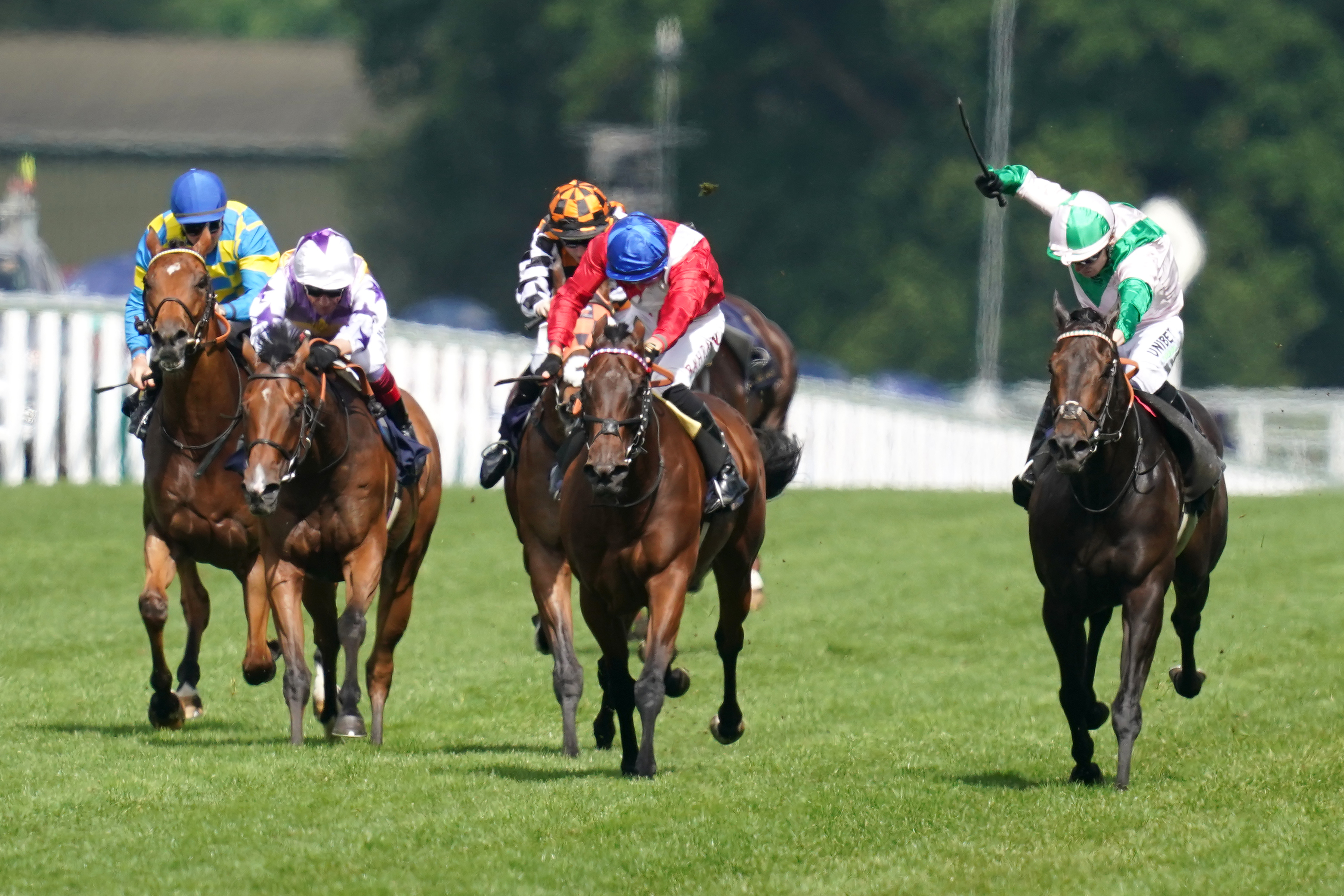 Sacred (centre) had to settle for second in the Queen Elizabeth II Jubilee Stakes at Royal Ascot