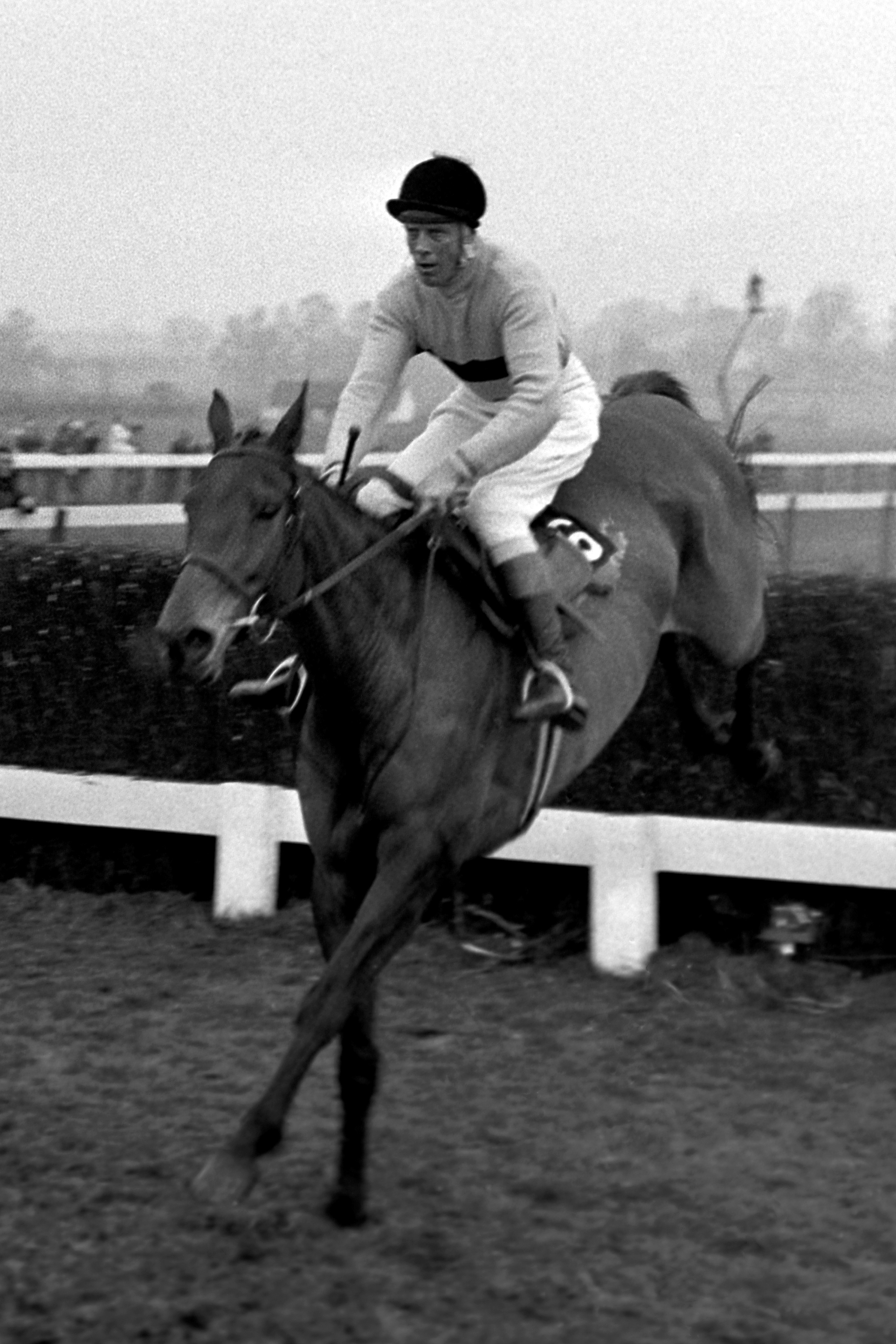 Arkle