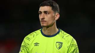 Petrovic's impact praised as Bournemouth continue push for Europe