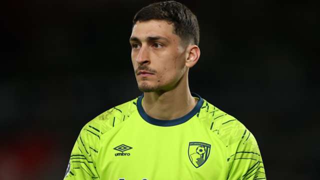 Petrovic's impact praised as Bournemouth continue push for Europe