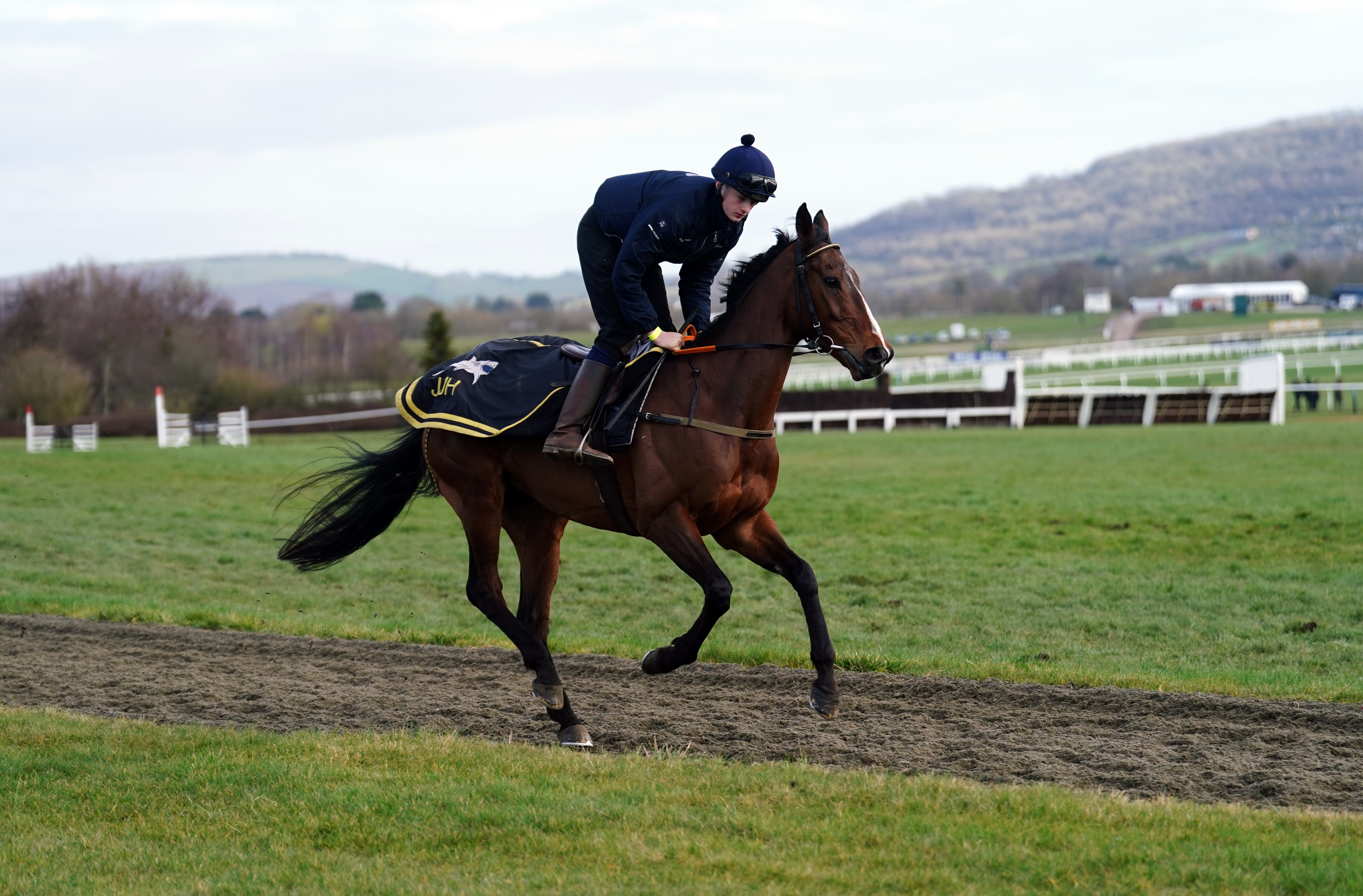 Hanlon weighing up best route for Hewick