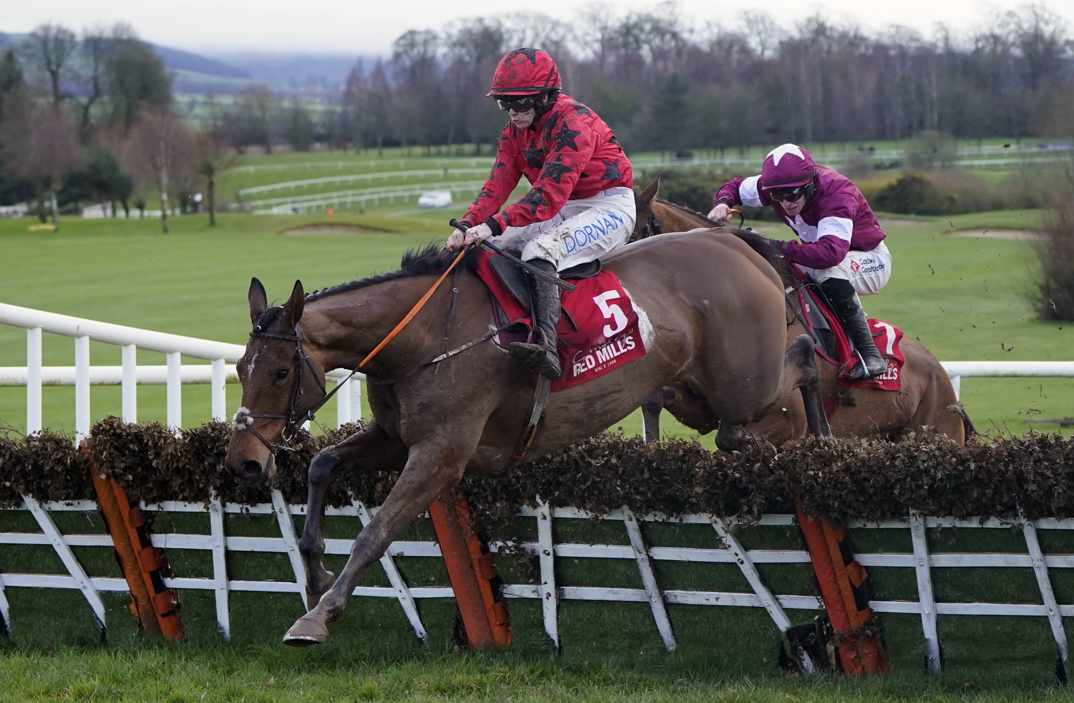 Lantry Lady and Rachel Blackmore clear the last