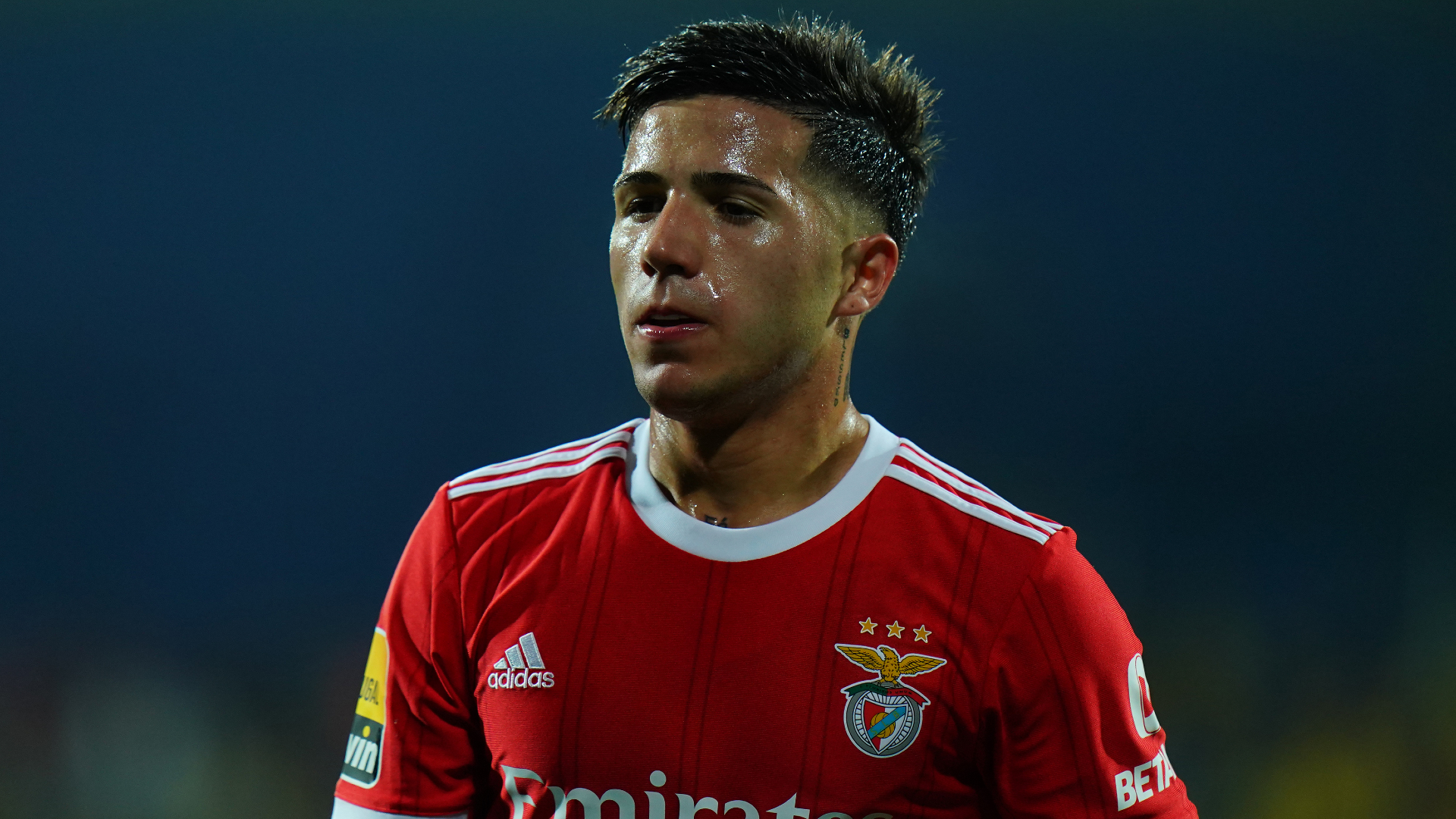 Enzo Fernandez left Benfica for Chelsea in a record-breaking deal earlier this week