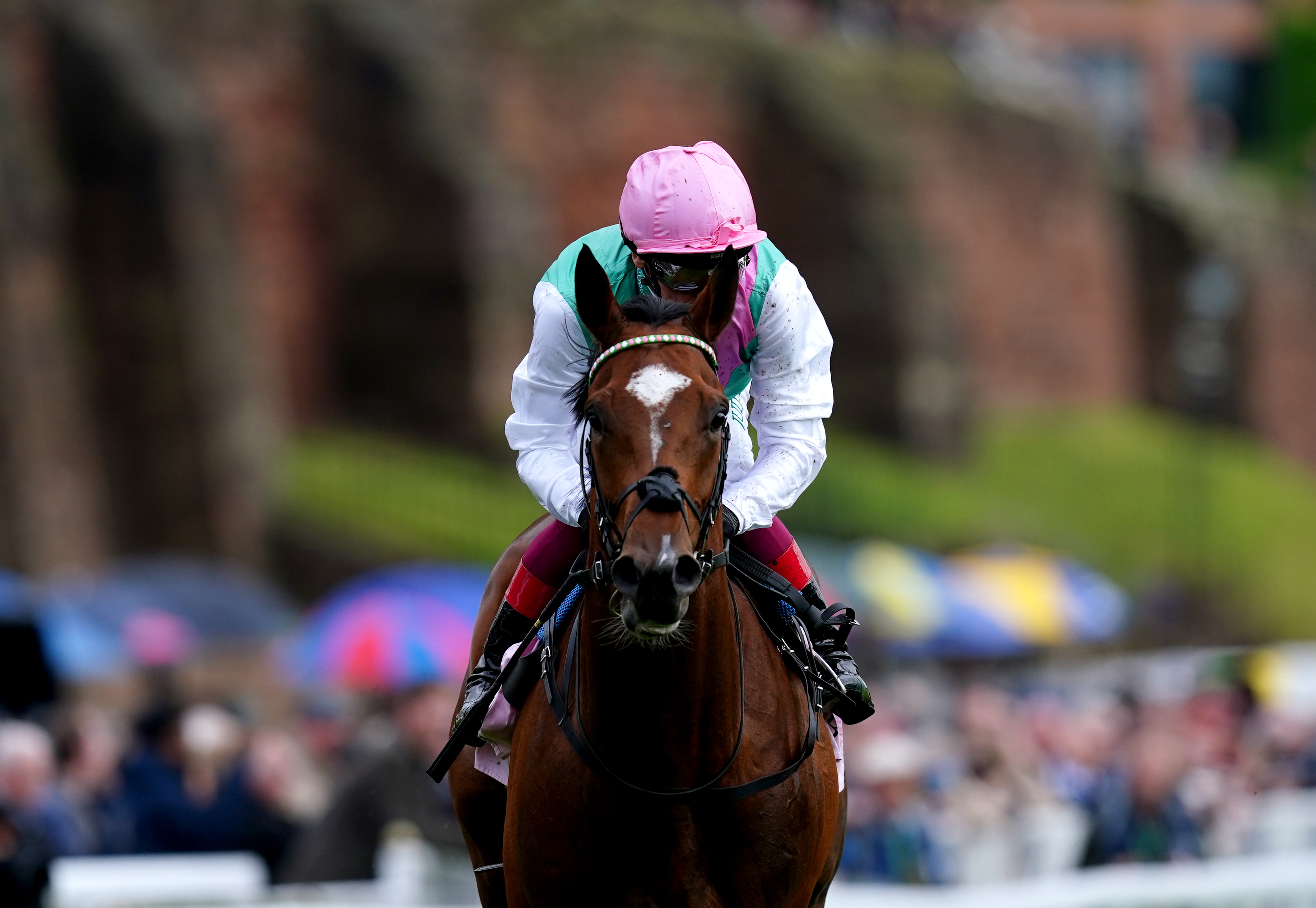 Arrest will be Frankie Dettori's final St Leger mount