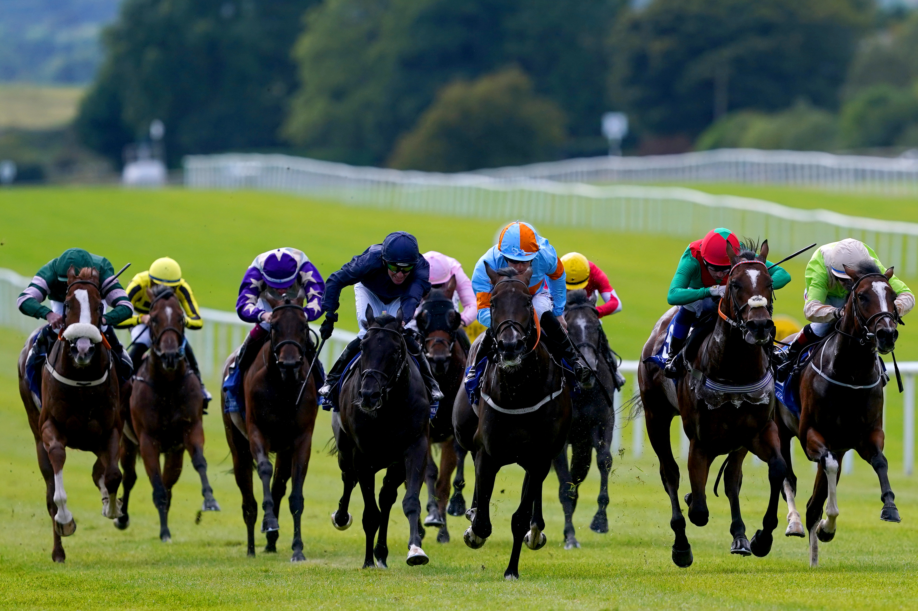 Mansa Musa (right) in action at the Curragh