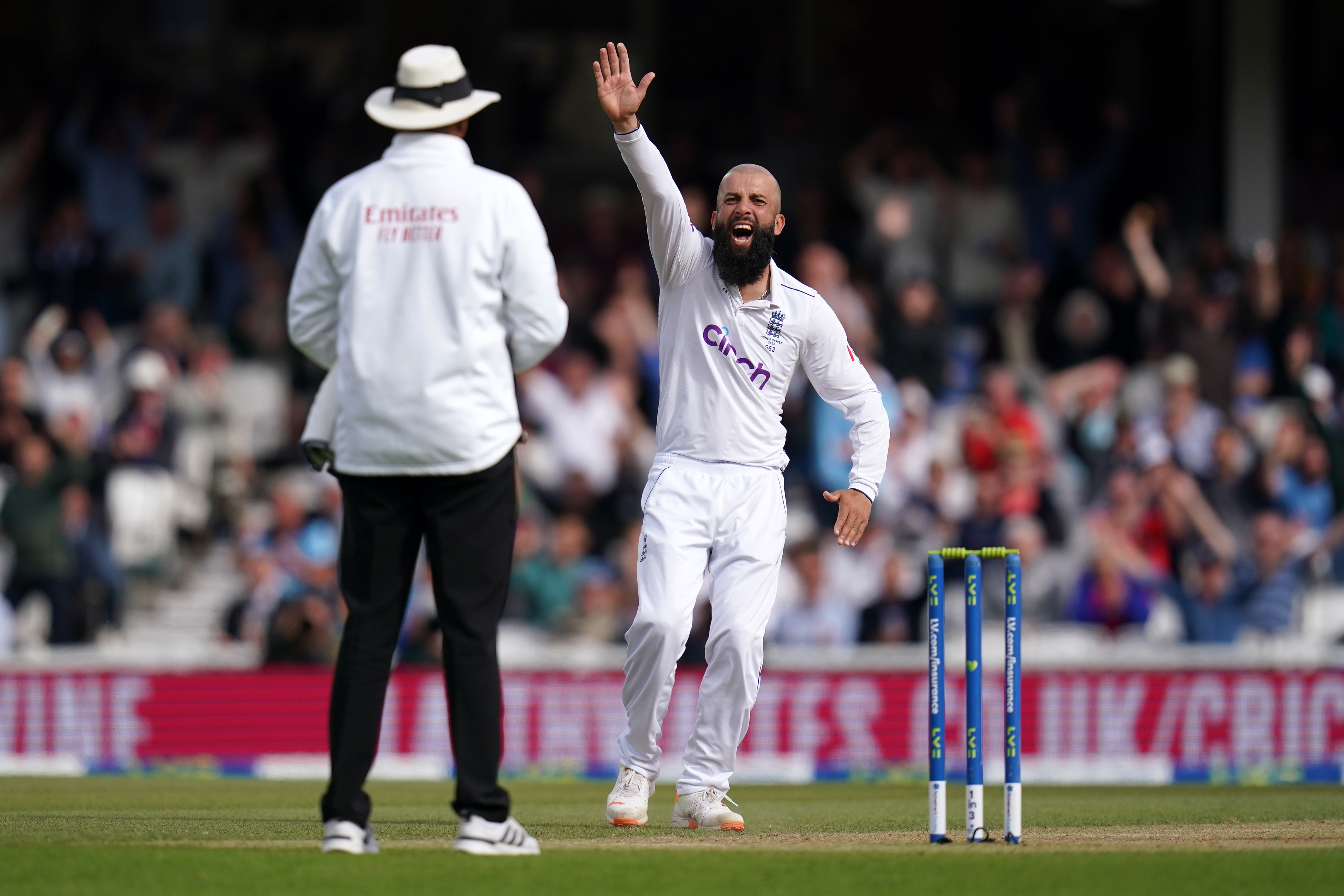 Moeen Ali (right) celebrates the wicket of Australia’s Mitchell Marsh