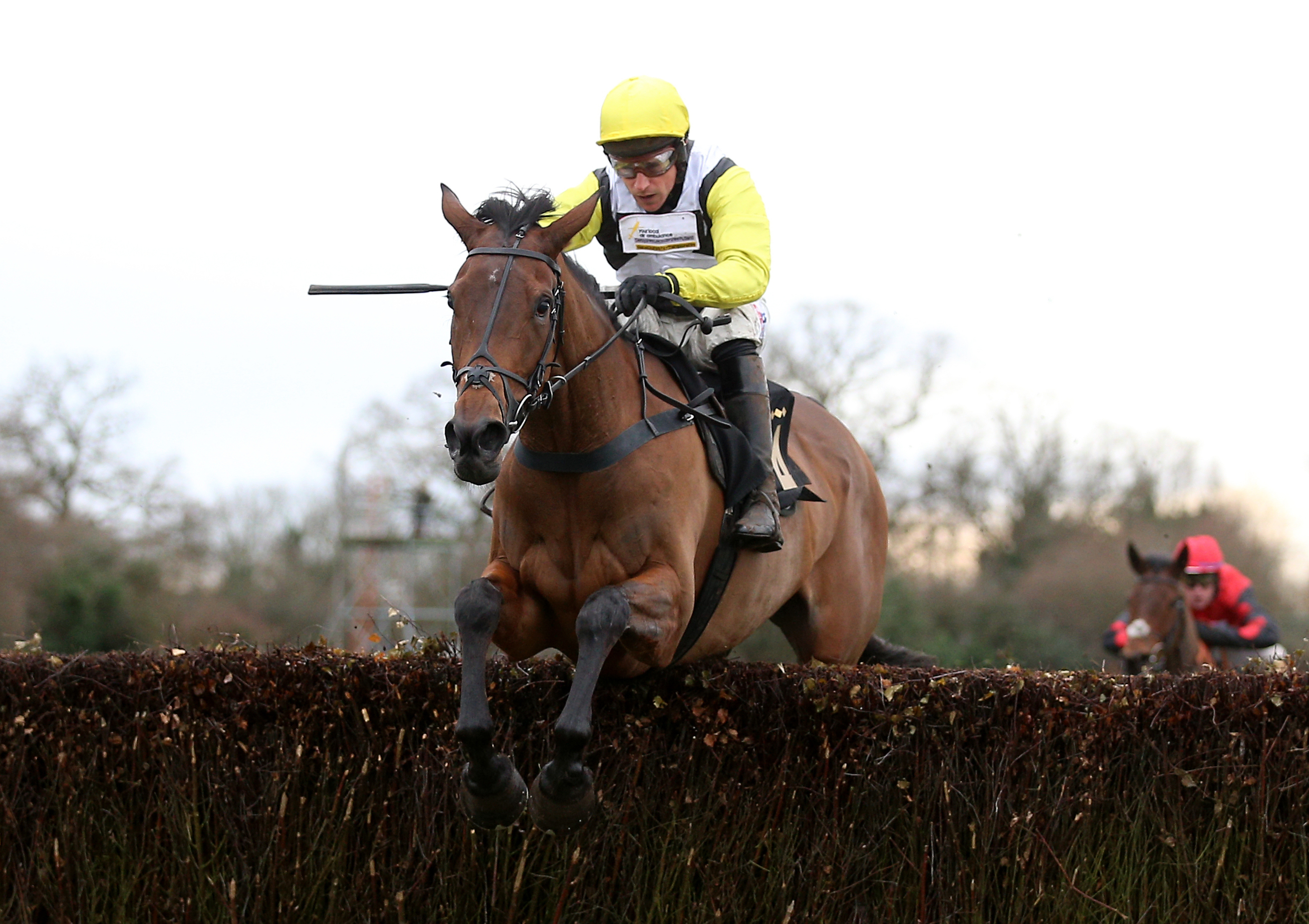 Galia Des Liteaux was a brave second in the Classic Chase