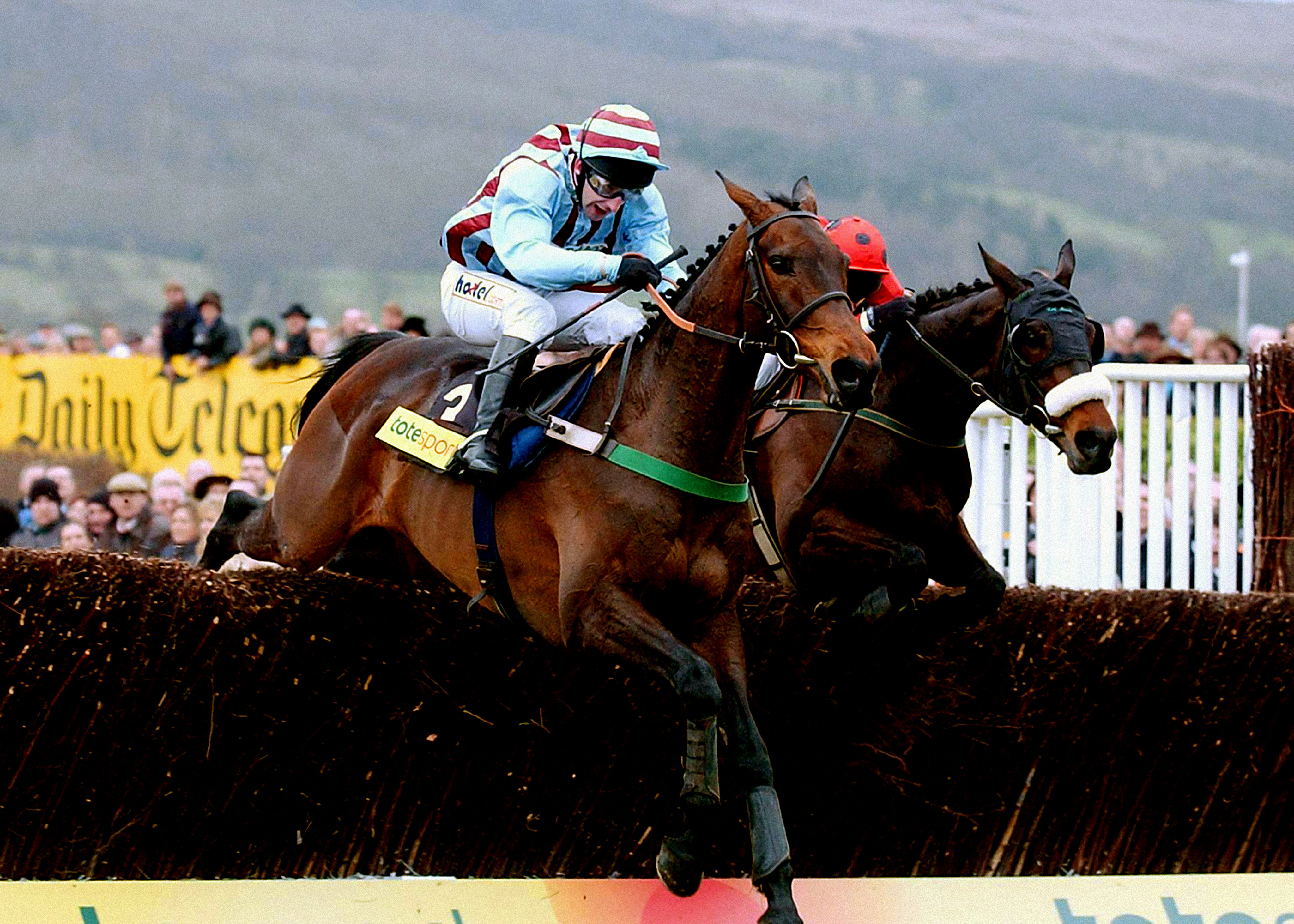 Best Mate Cheltenham Gold Cup
