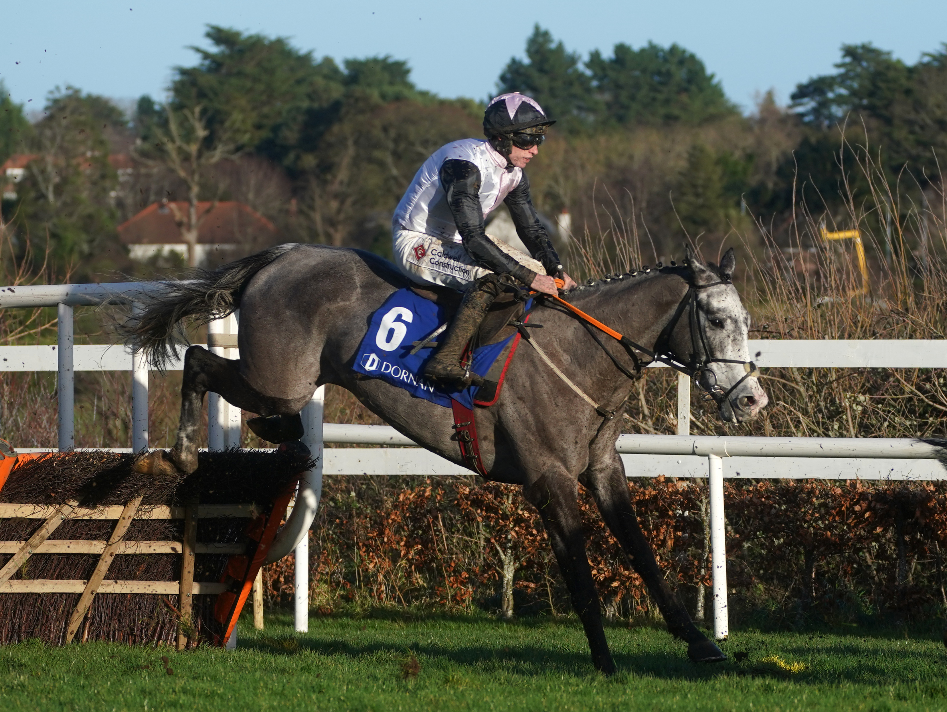 Irish Point on his way to victory at Leopardstown