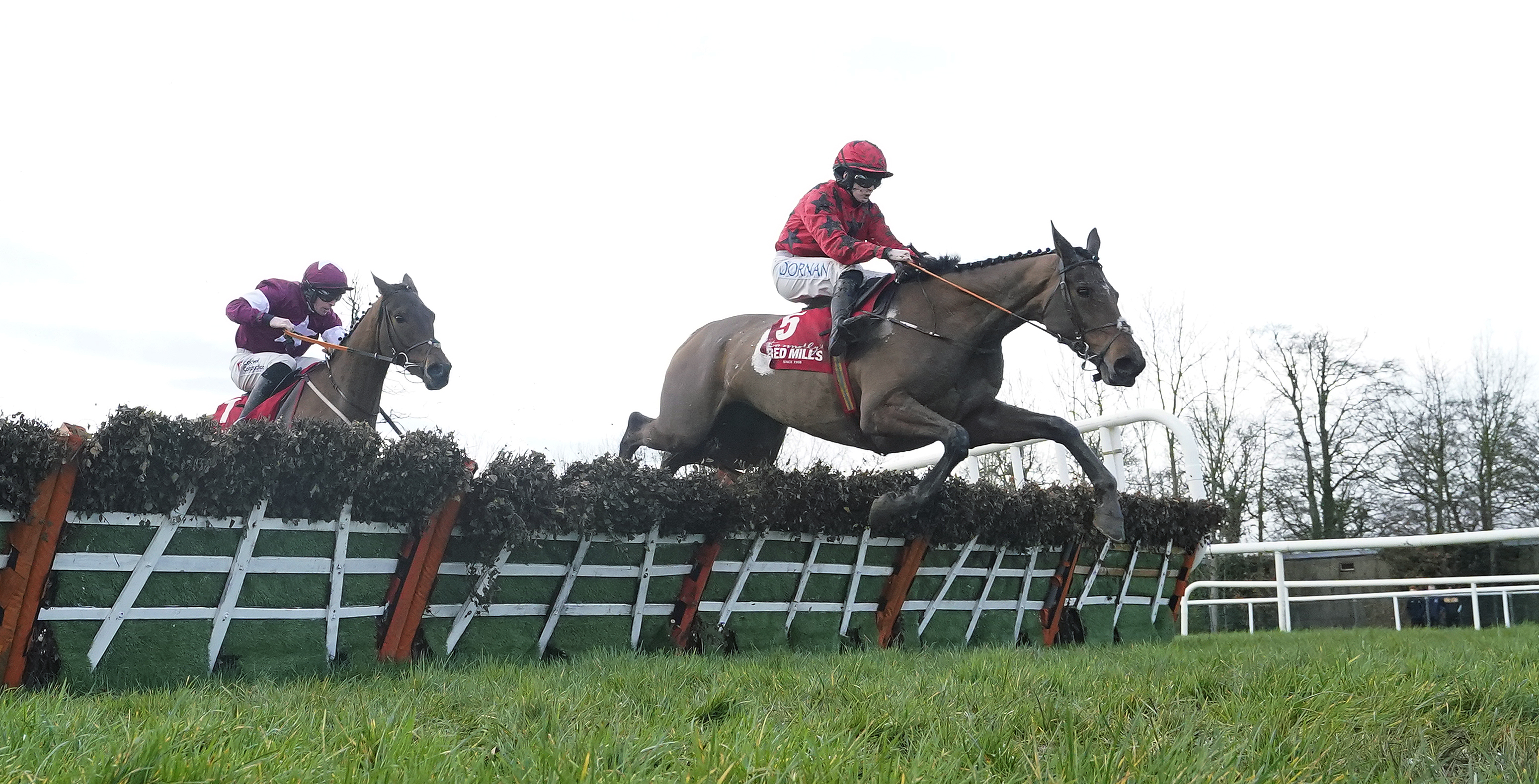 Lantry Lady clears the last