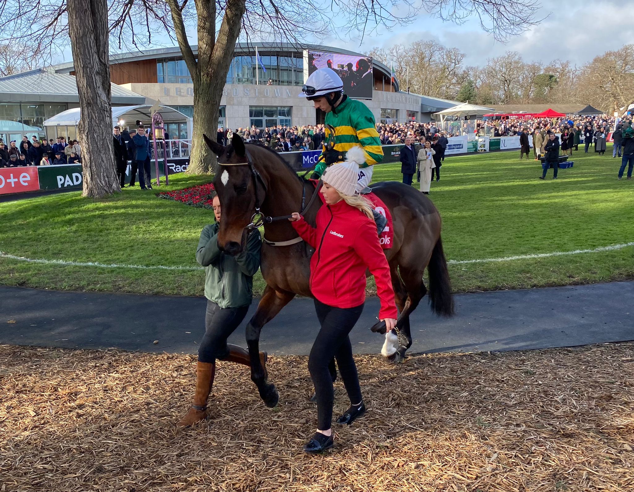 Fact To File with Mark Walsh at Leopardstown