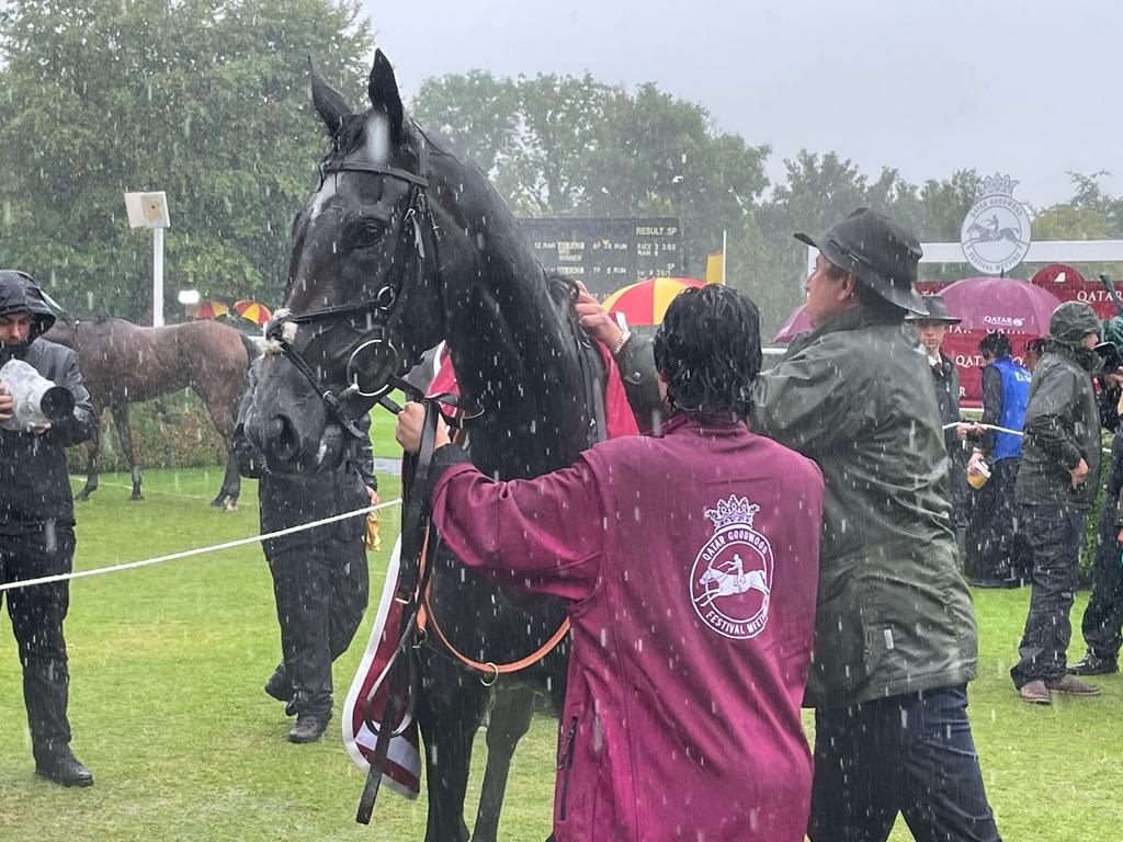 Sumo Sam loved the soft ground
