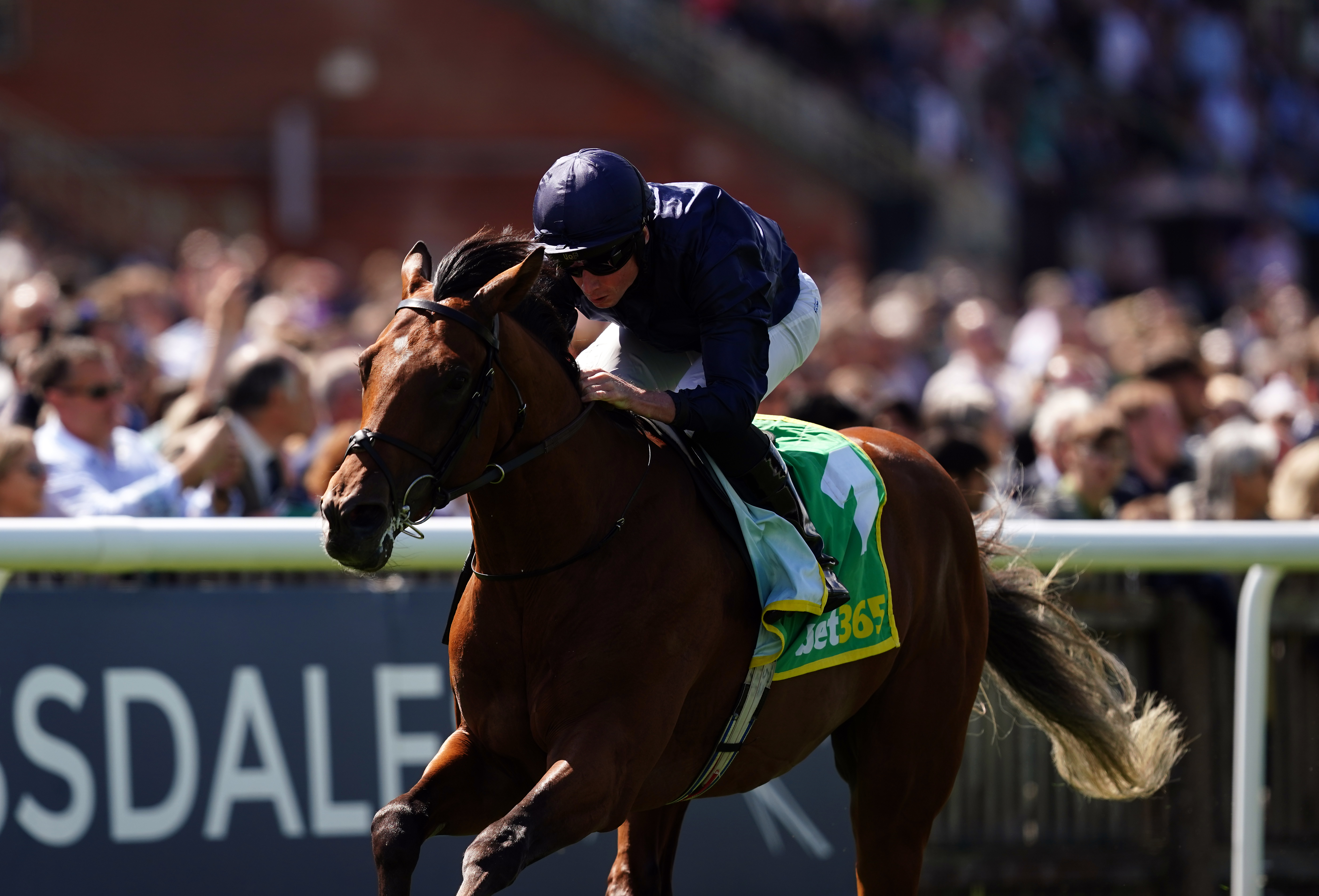 City Of Troy will be seen next in the National Stakes at the Curragh