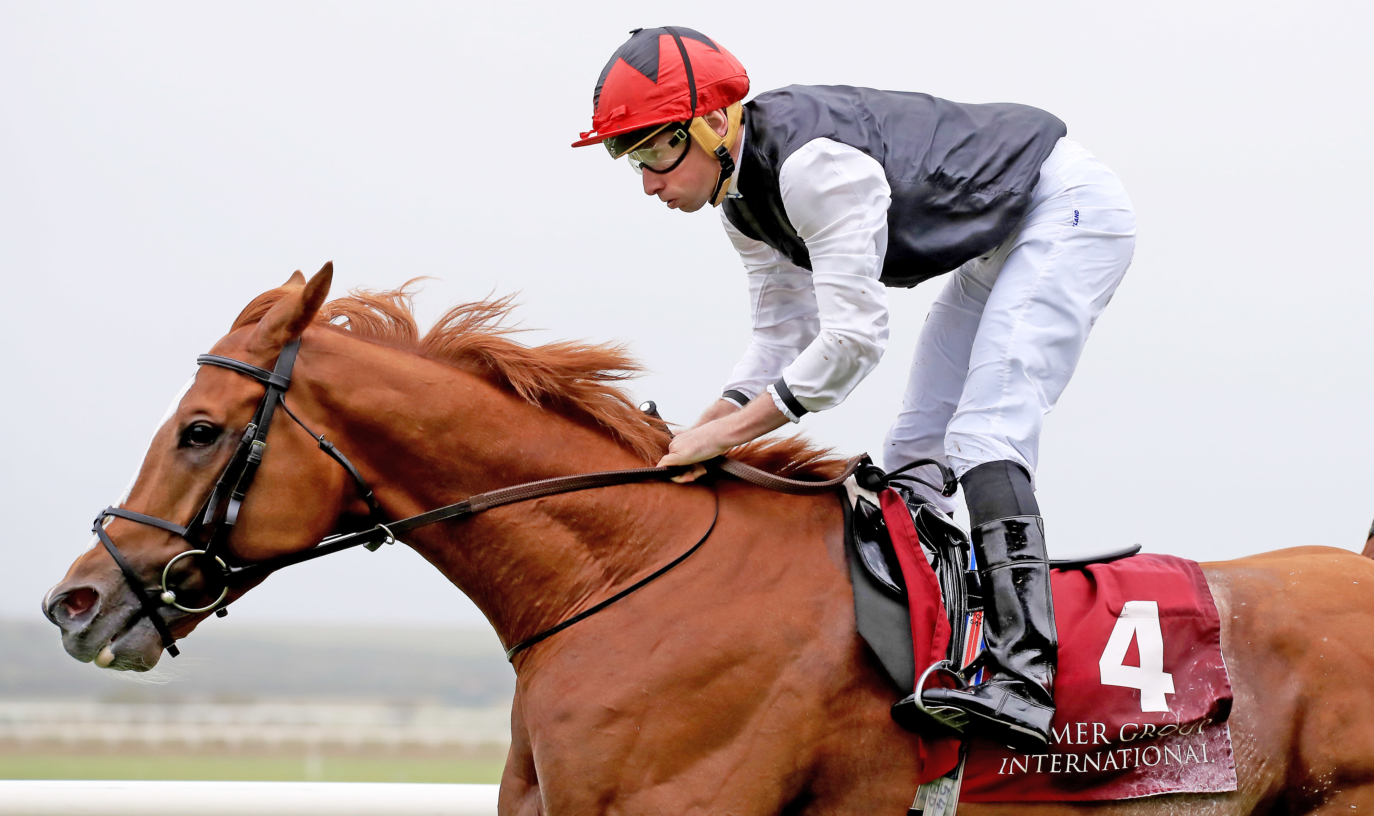 Kyprios returns from a long absence to defend his Irish St Leger crown
