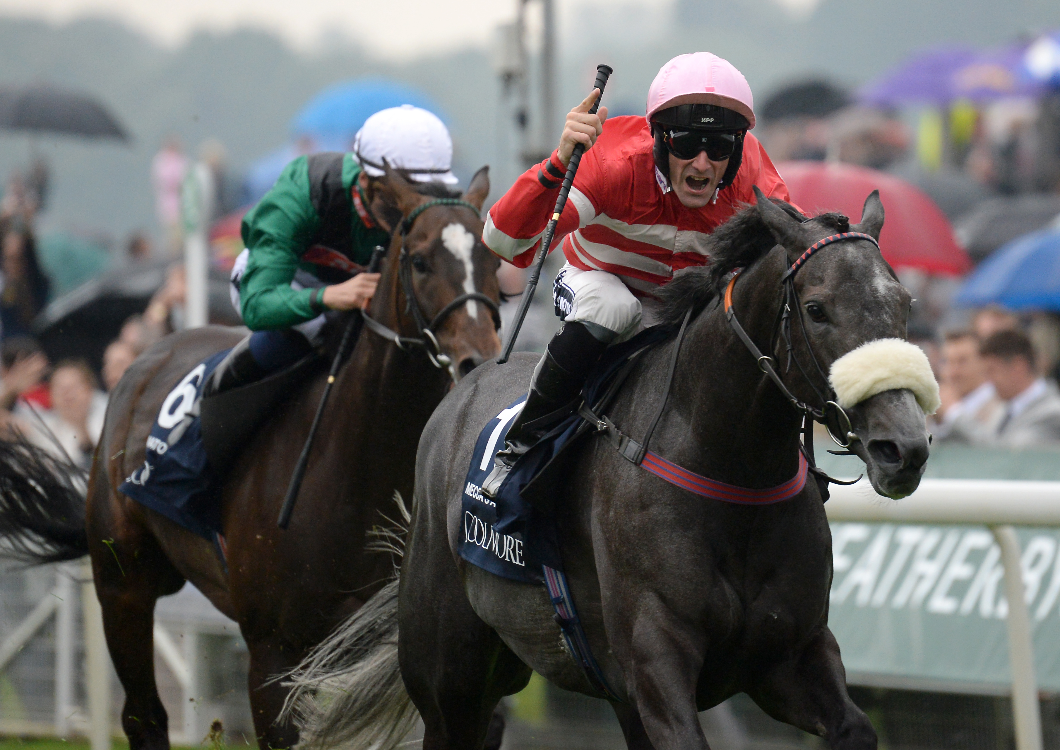 Mecca's Angel winning the Nunthorpe at York in 2016
