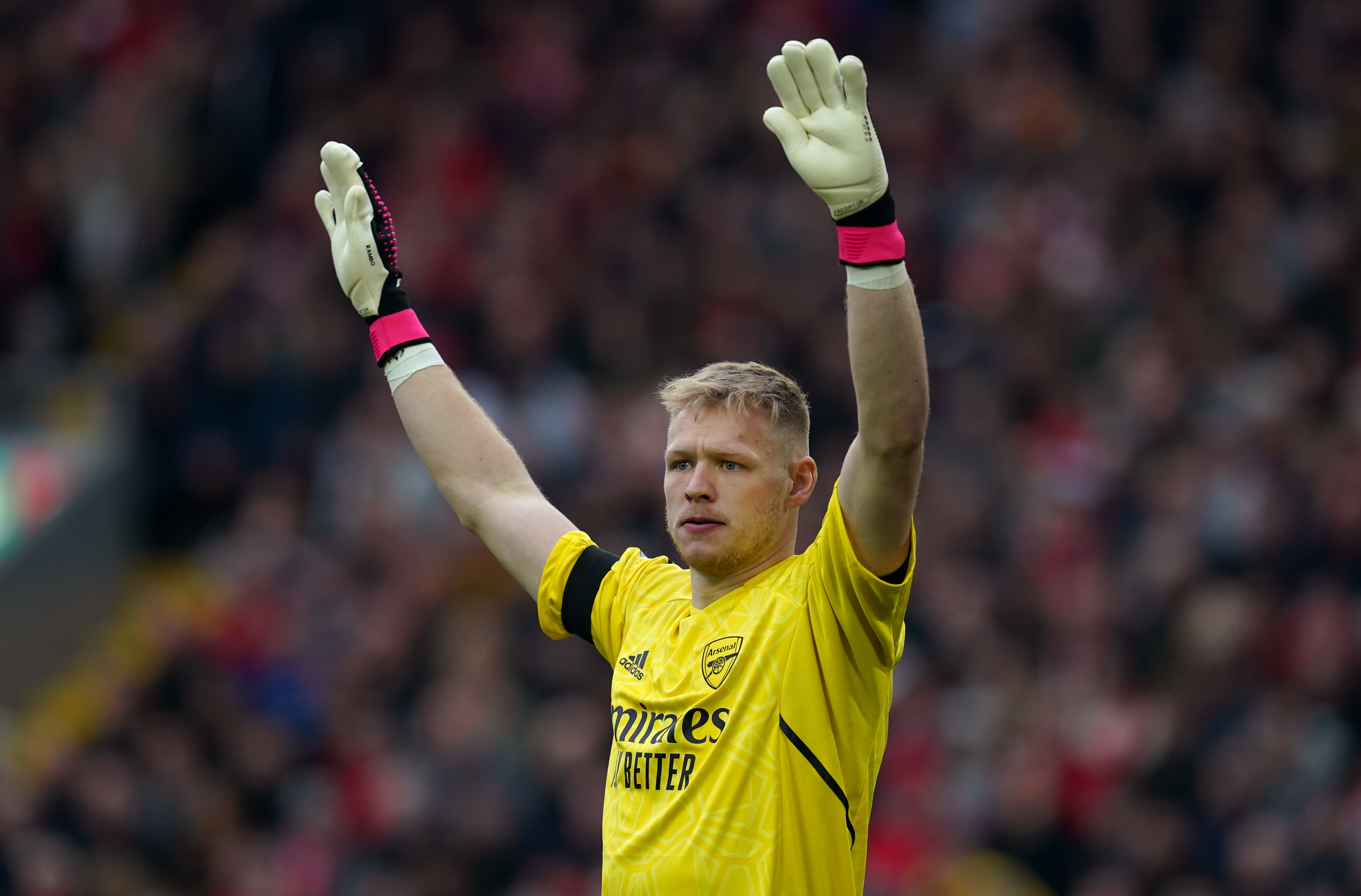 Arsenal agree deal to sign Brentford goalkeeper David Raya