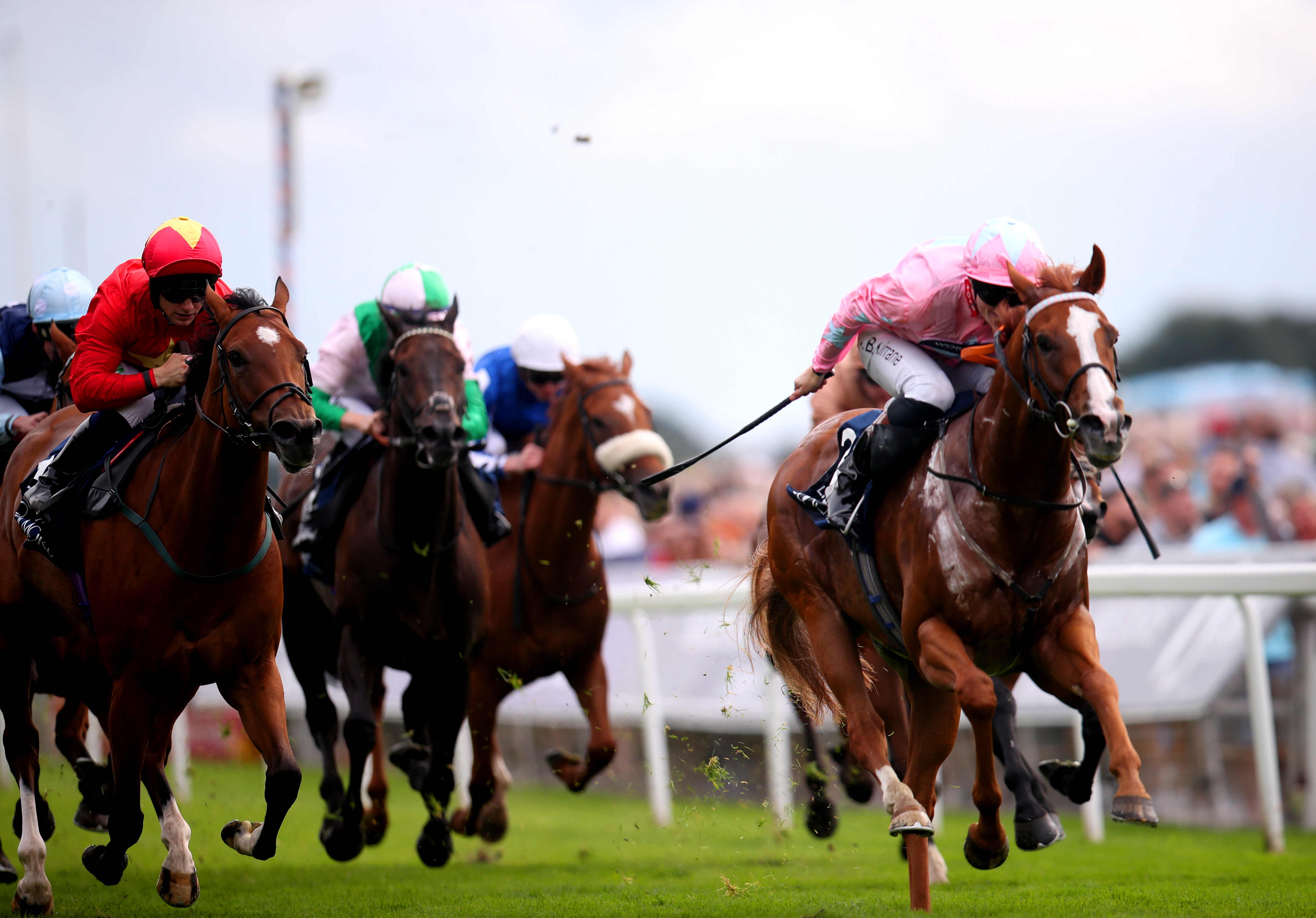 Live In The Dream beat the best sprinters around at York