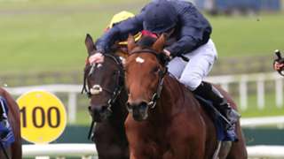 O’Brien Epsom raider has Rock-solid form credentials