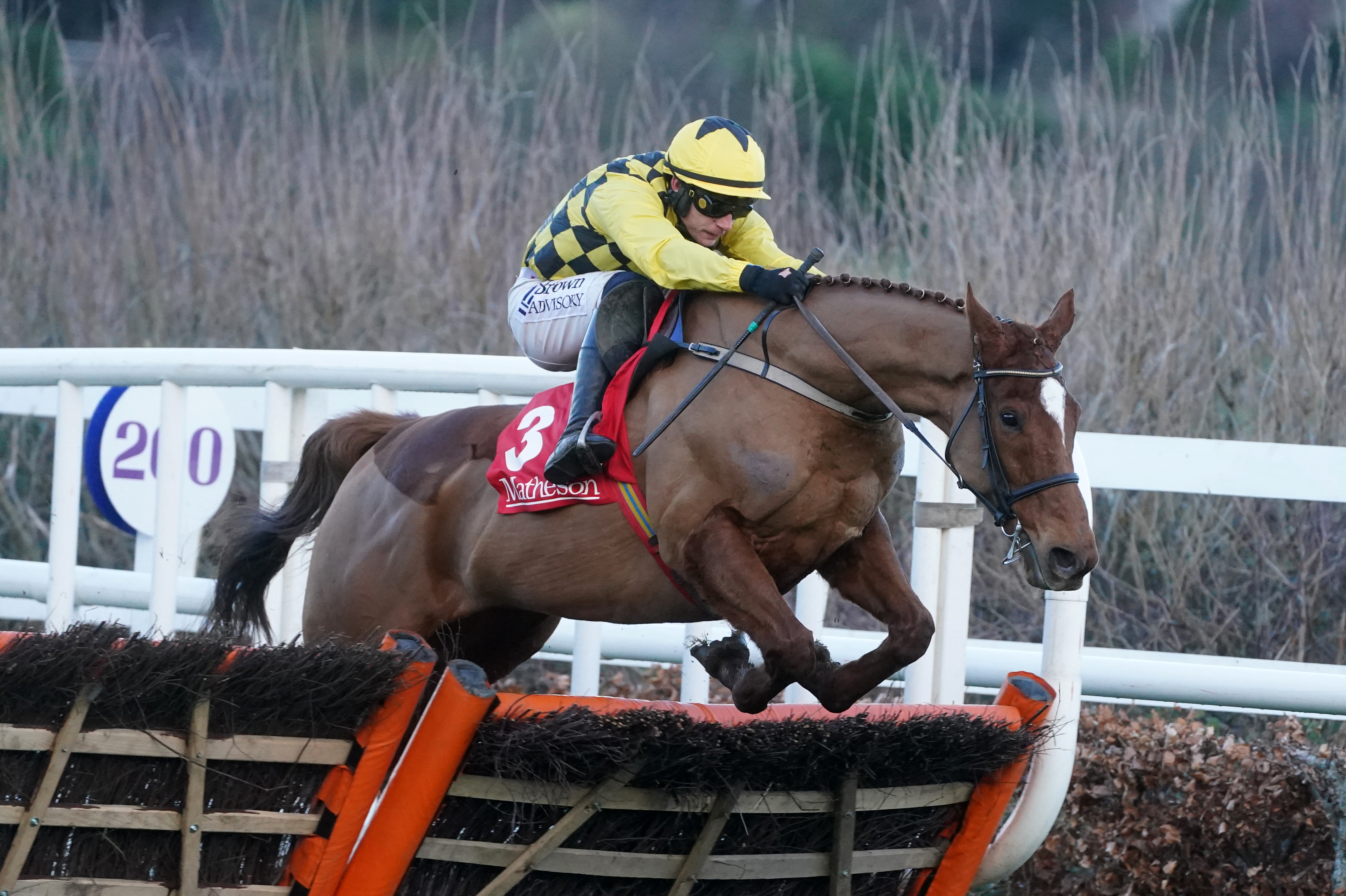 State Man in action at Leopardstown