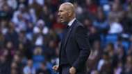 Zinedine Zidane - cropped