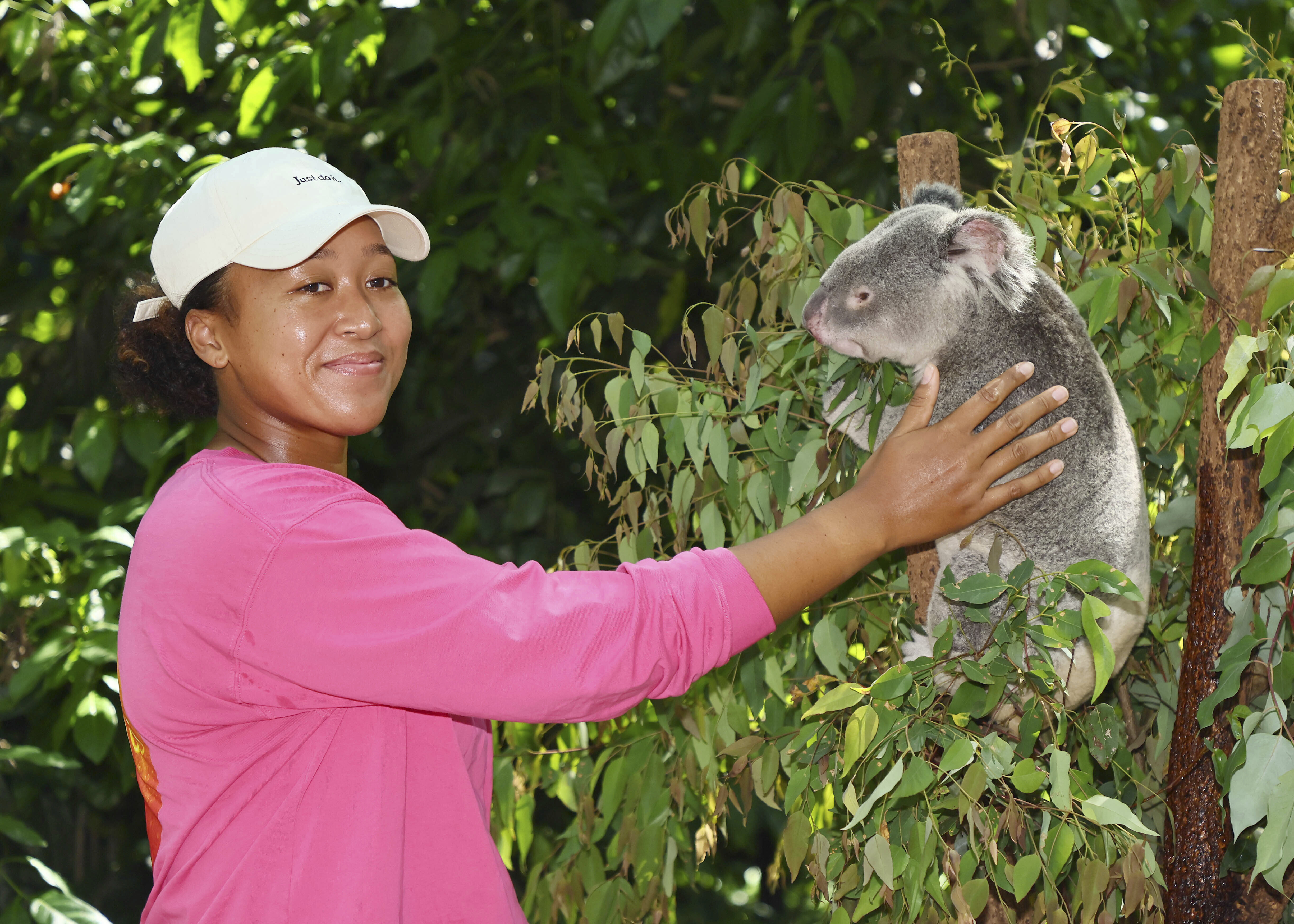 Naomi Osaka meets a koala in Brisbane