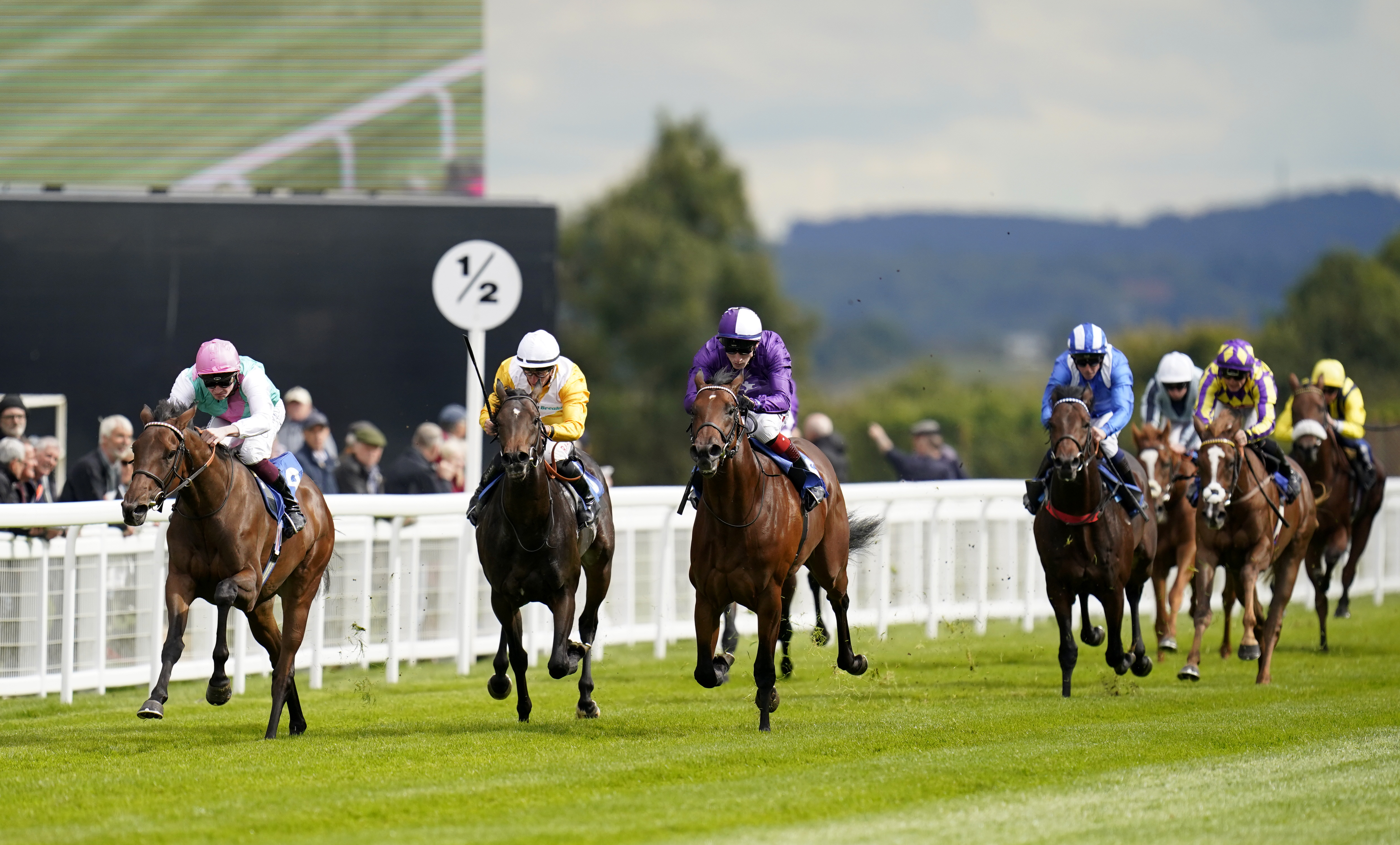 Bluestocking broke her maiden impressively at Salisbury