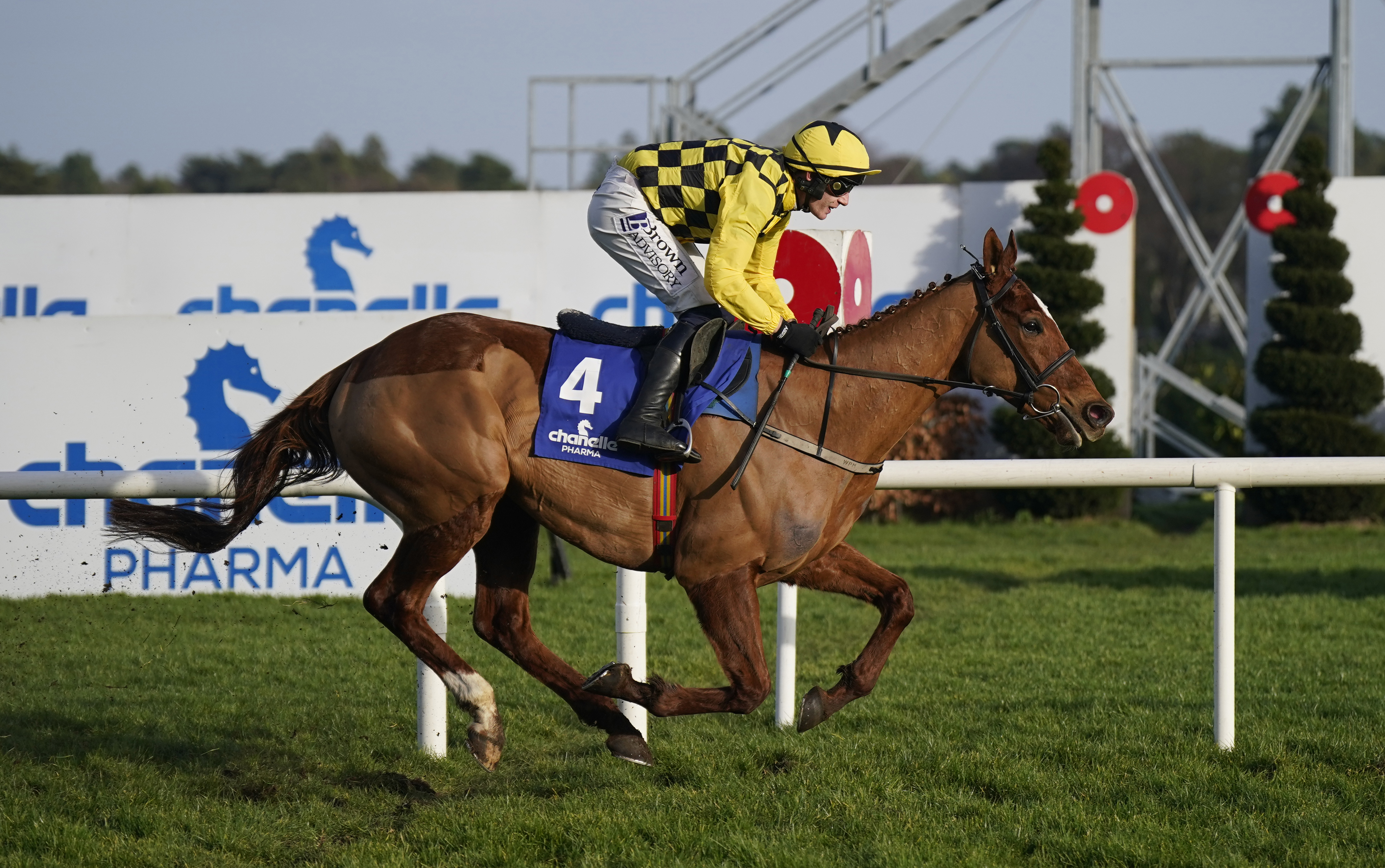 State Man came home alone at Leopardstown