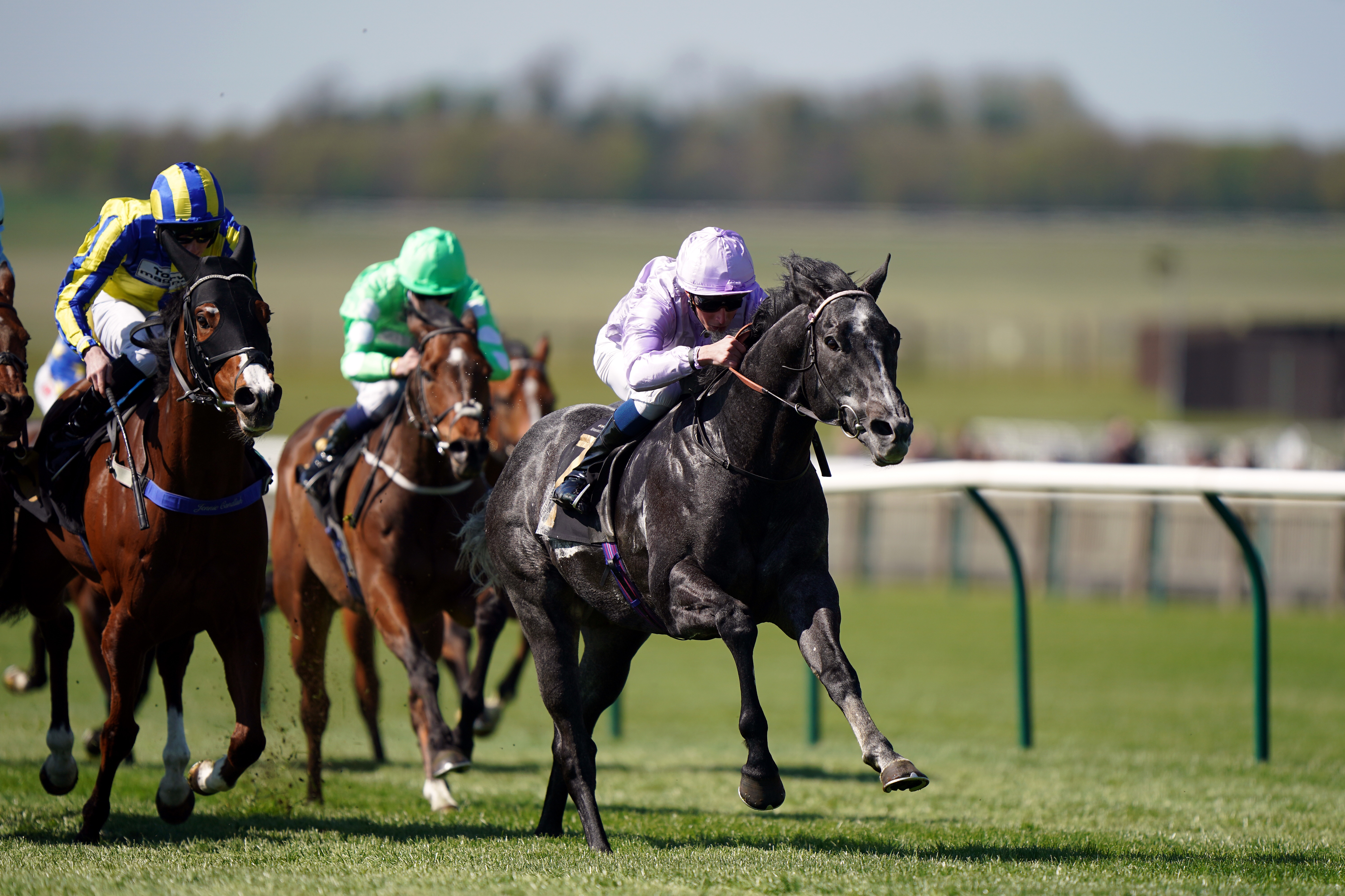 Orazio holds a leading chance in the Stewards' Cup