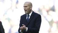Zidane - Cropped