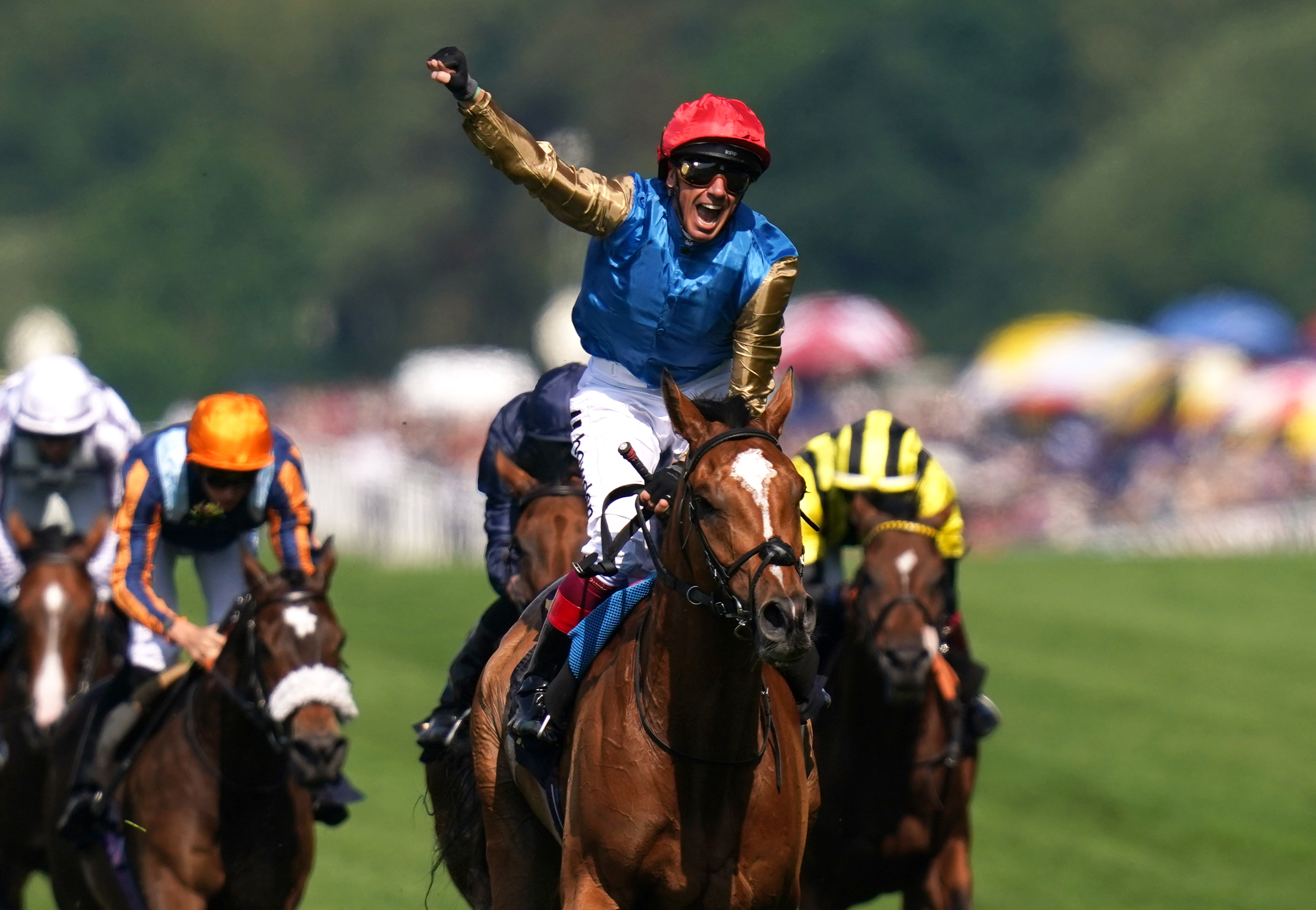 Dettori rode Courage Mon Ami to win the Gold Cup last week