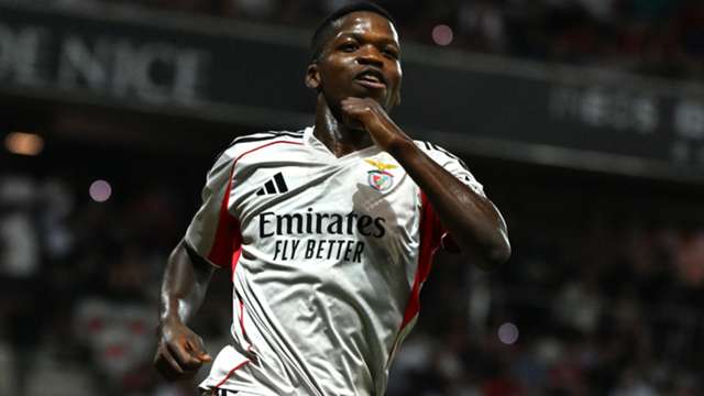 Champions League: Benfica secure away win while Fenerbahce lose late on
