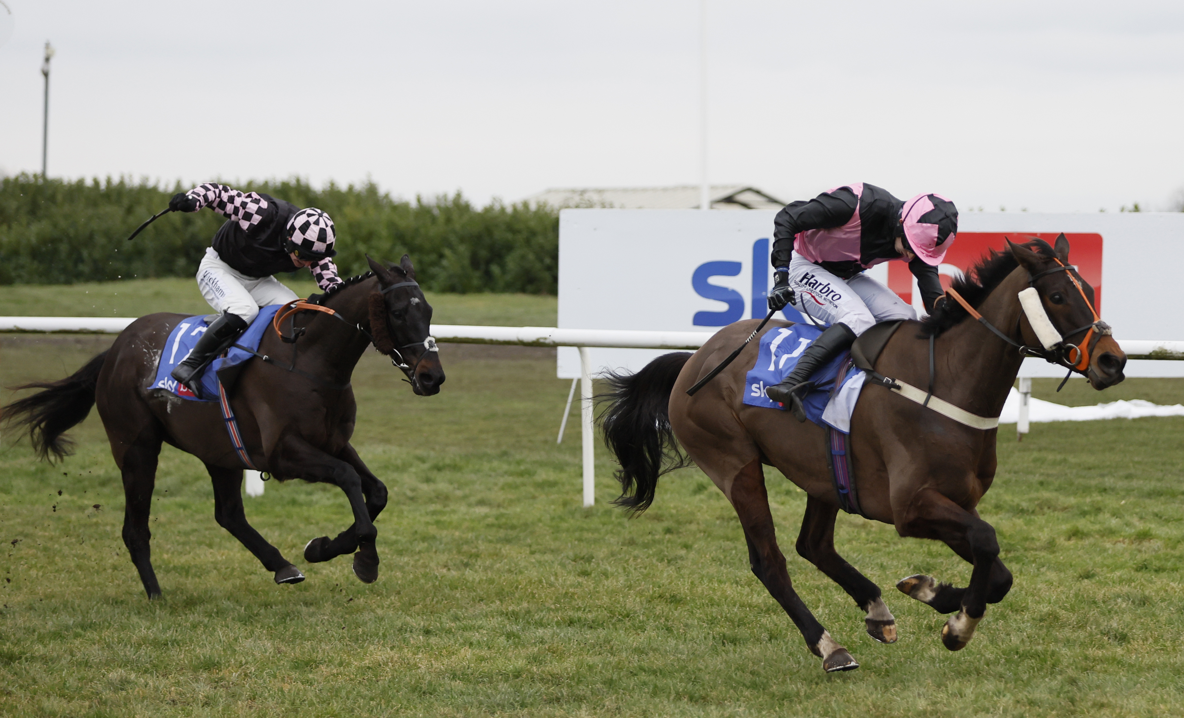 Cap Du Nord chasing home Cooper's Cross in the race last year