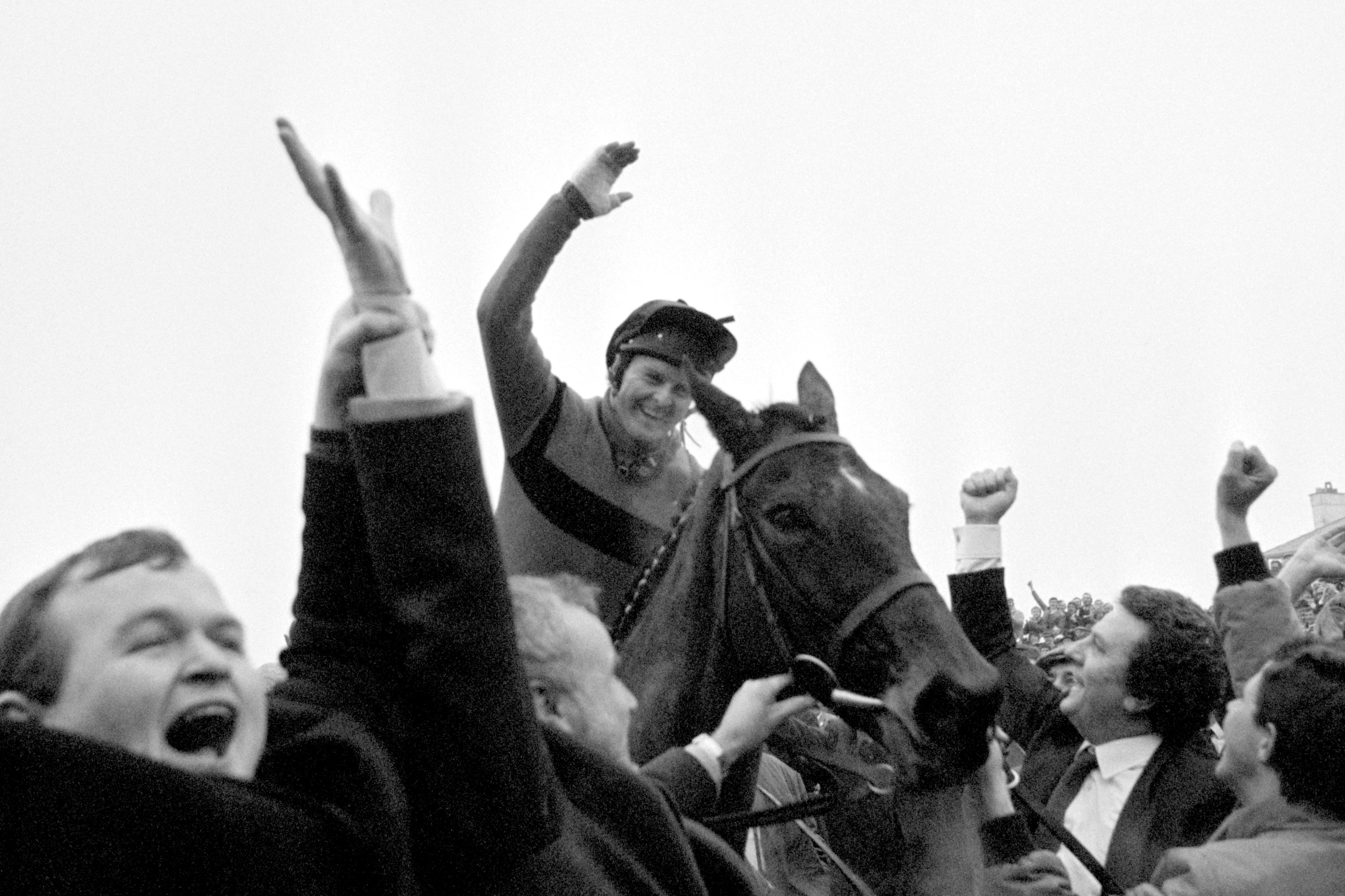 Horseracing – Tote Cheltenham Gold Cup 86