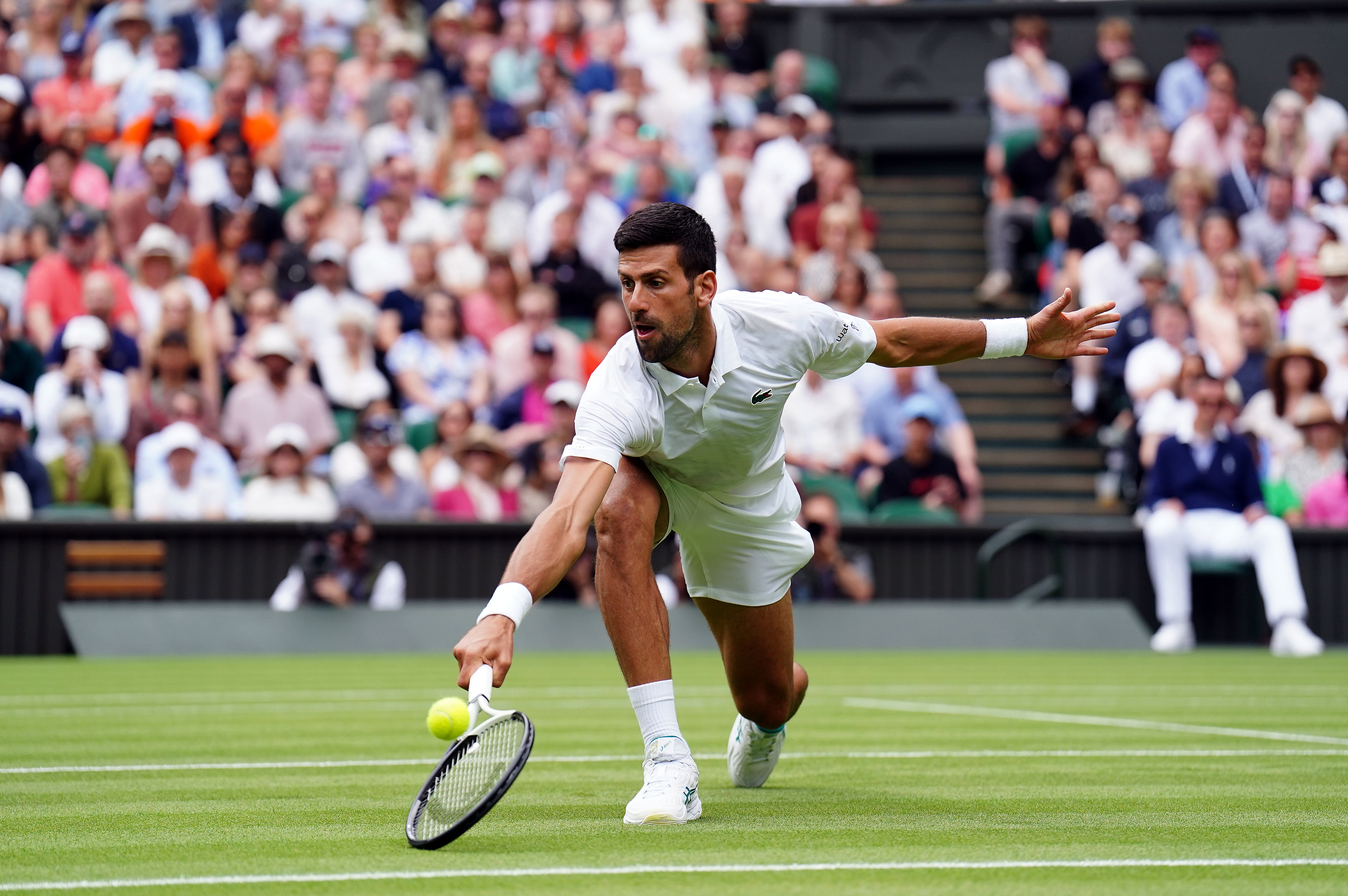Novak Djokovic plays a low backhand