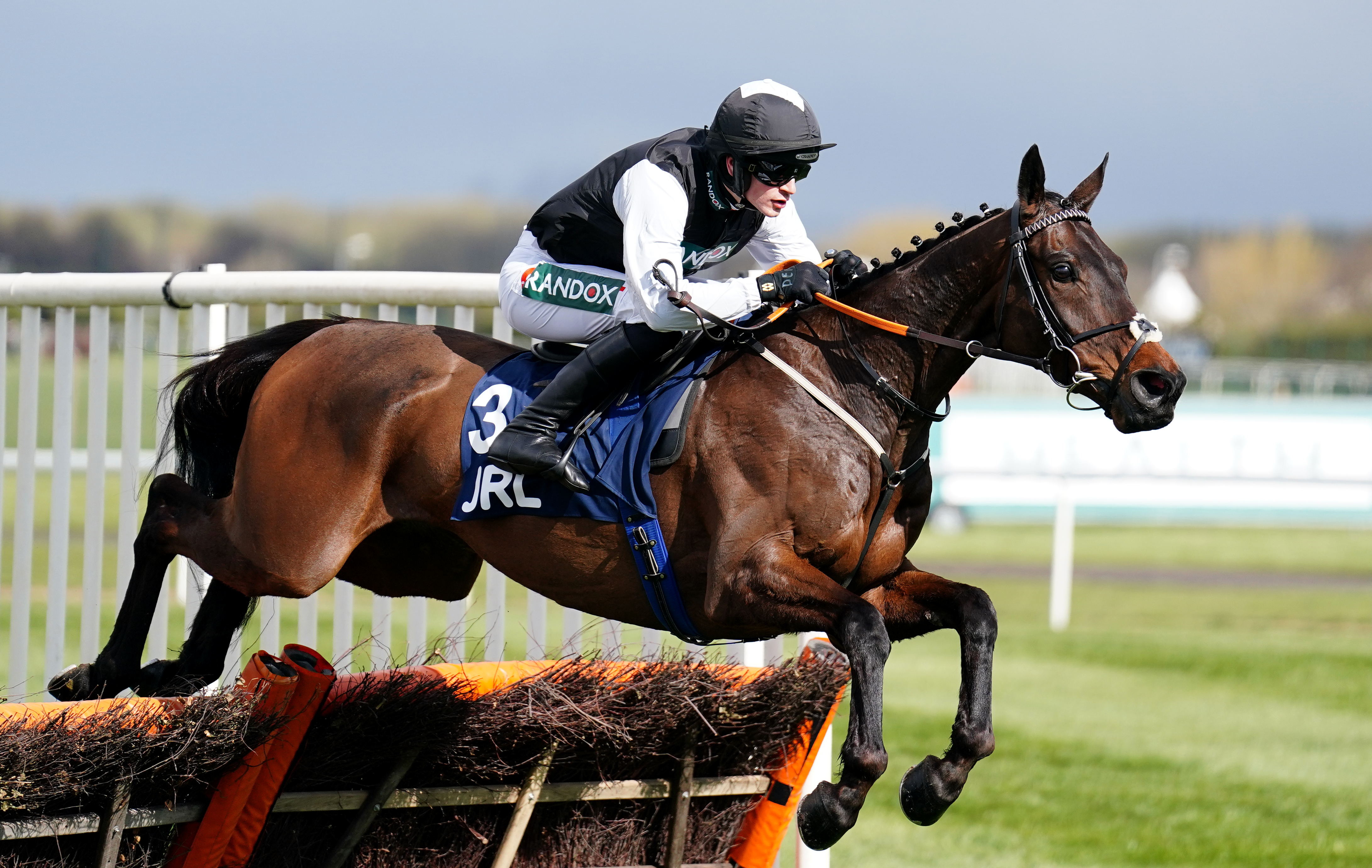Flooring Porter is back for another Stayers' Hurdle