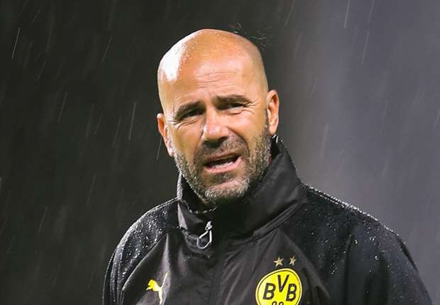 peter-bosz_2gbpii4e2fn61qnez1l1ouejx.jpg