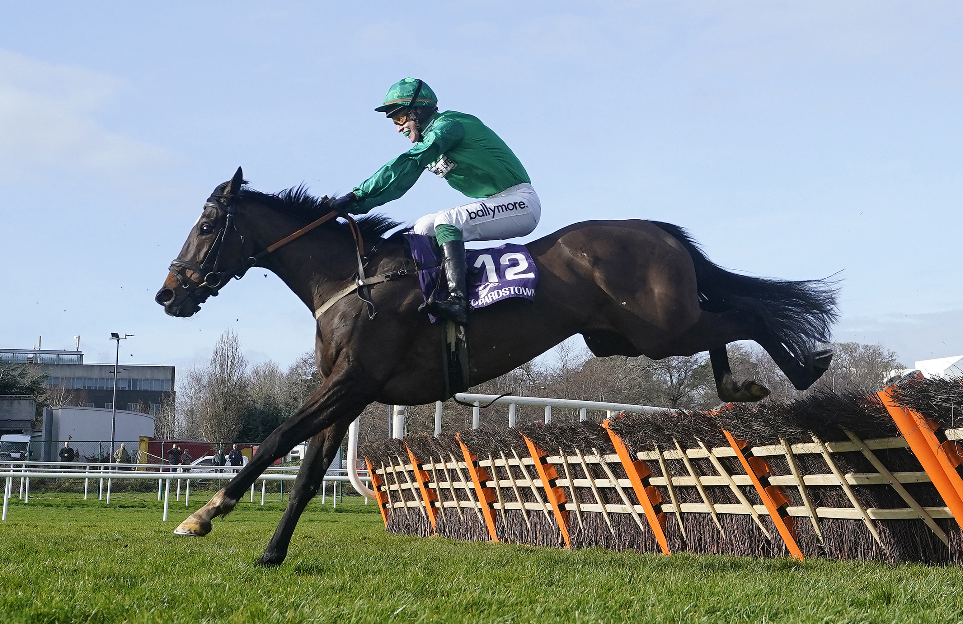 Brucio jumps the final flight at Leopardstown